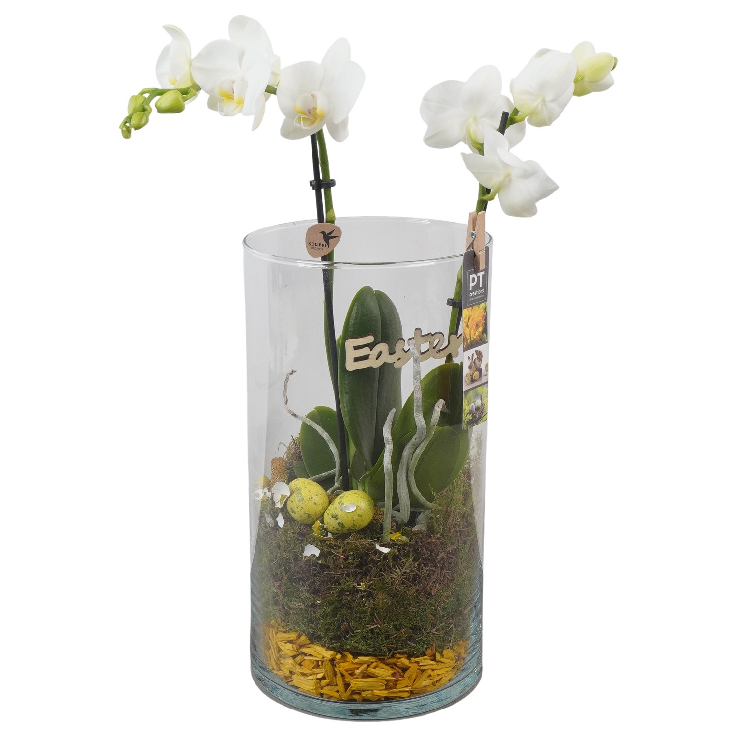 PTPG9336 Arrangement Easter in glas vaas, D 16