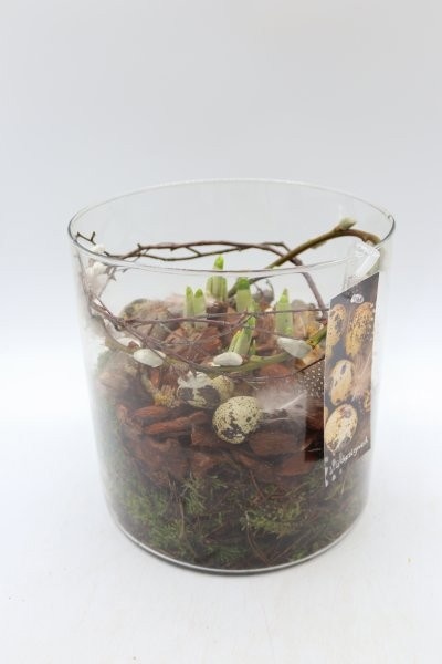 Pasen, cilinder, D 19