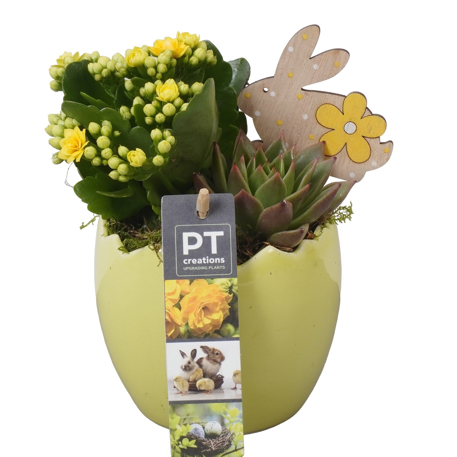 PTPB6489 Arrangement Easter in keramiek ei, D 11