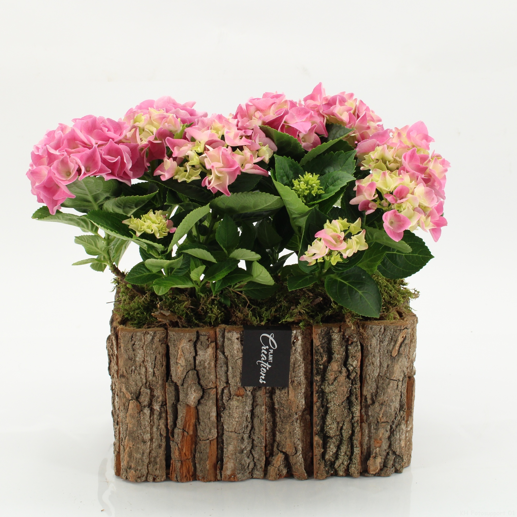 KHCR-2606RZ Hydrangea creations, D 26