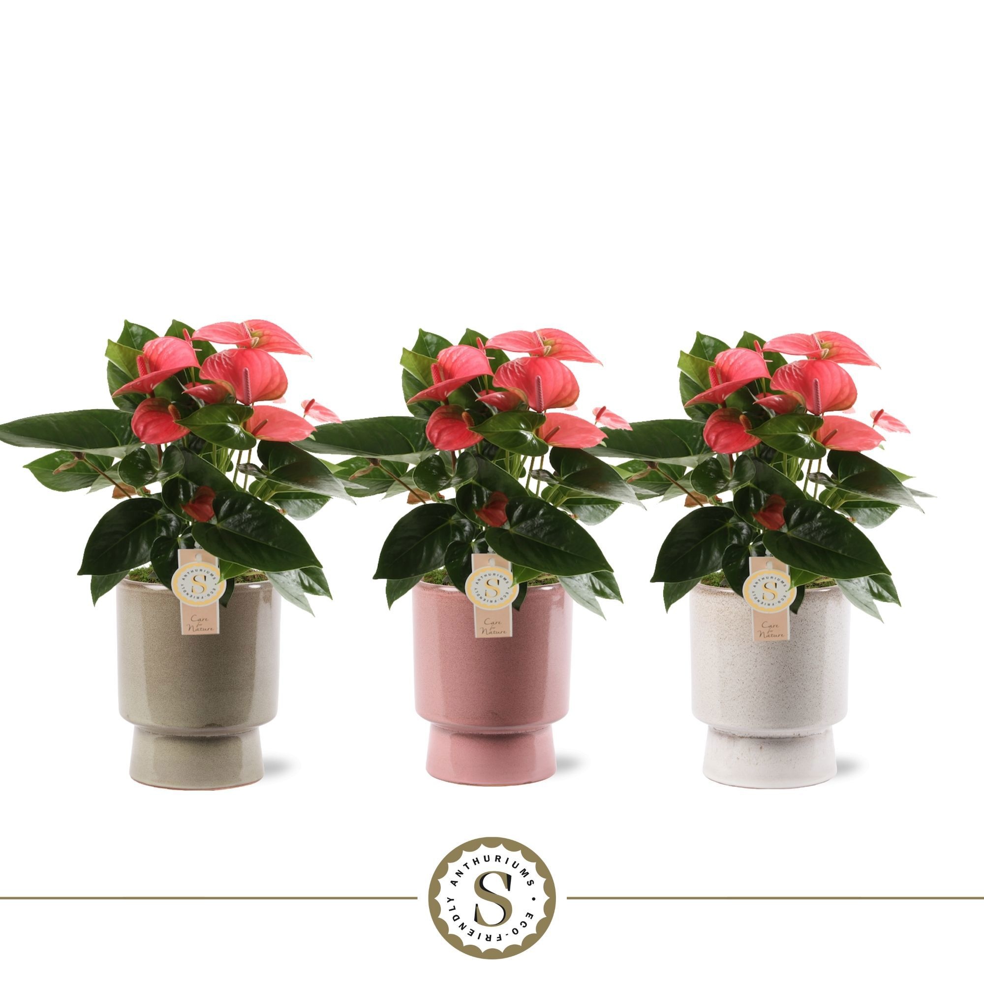 Toulouse Keramiek Pink, D 12