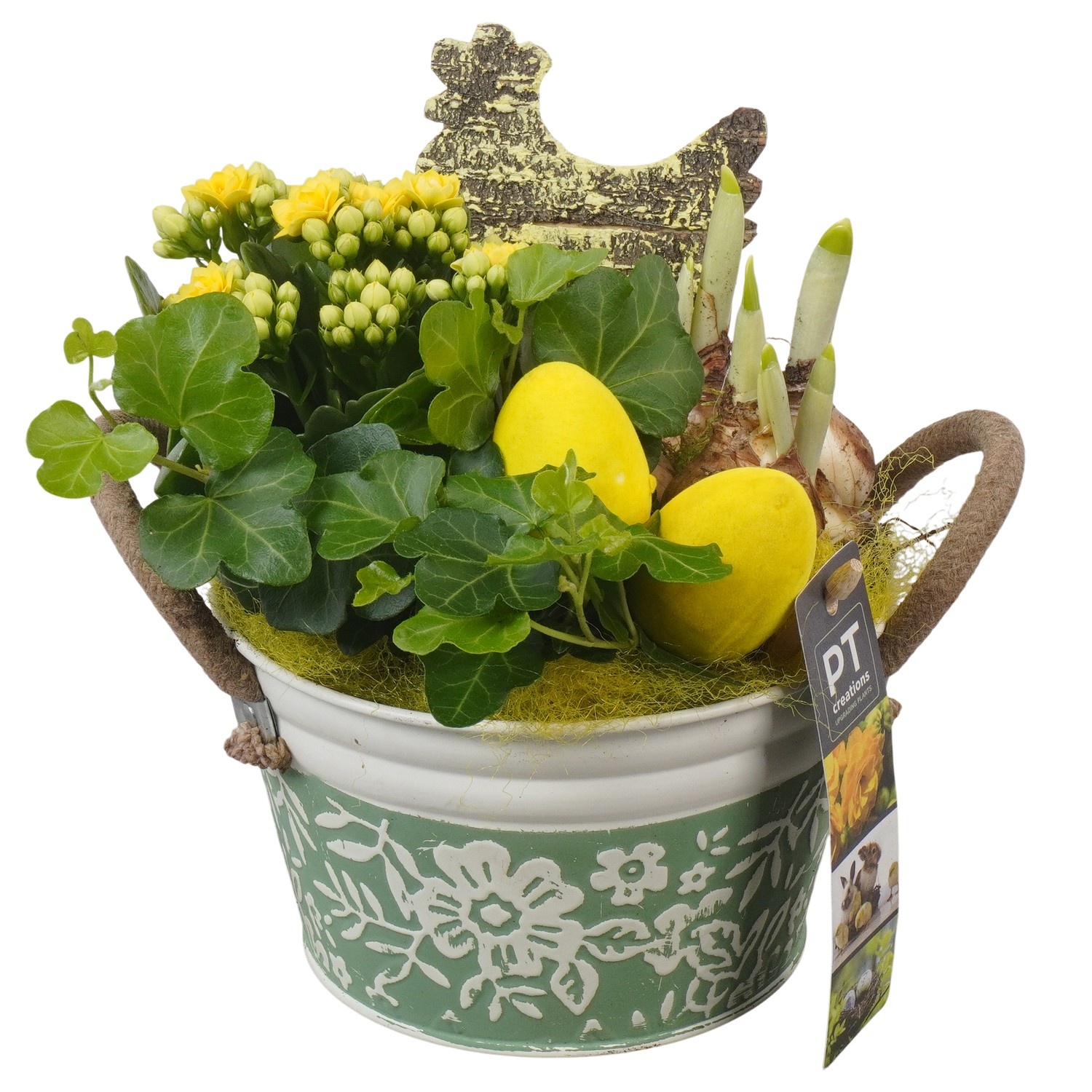 PTPB6442 Arrangement Easter in zink pot, D 15