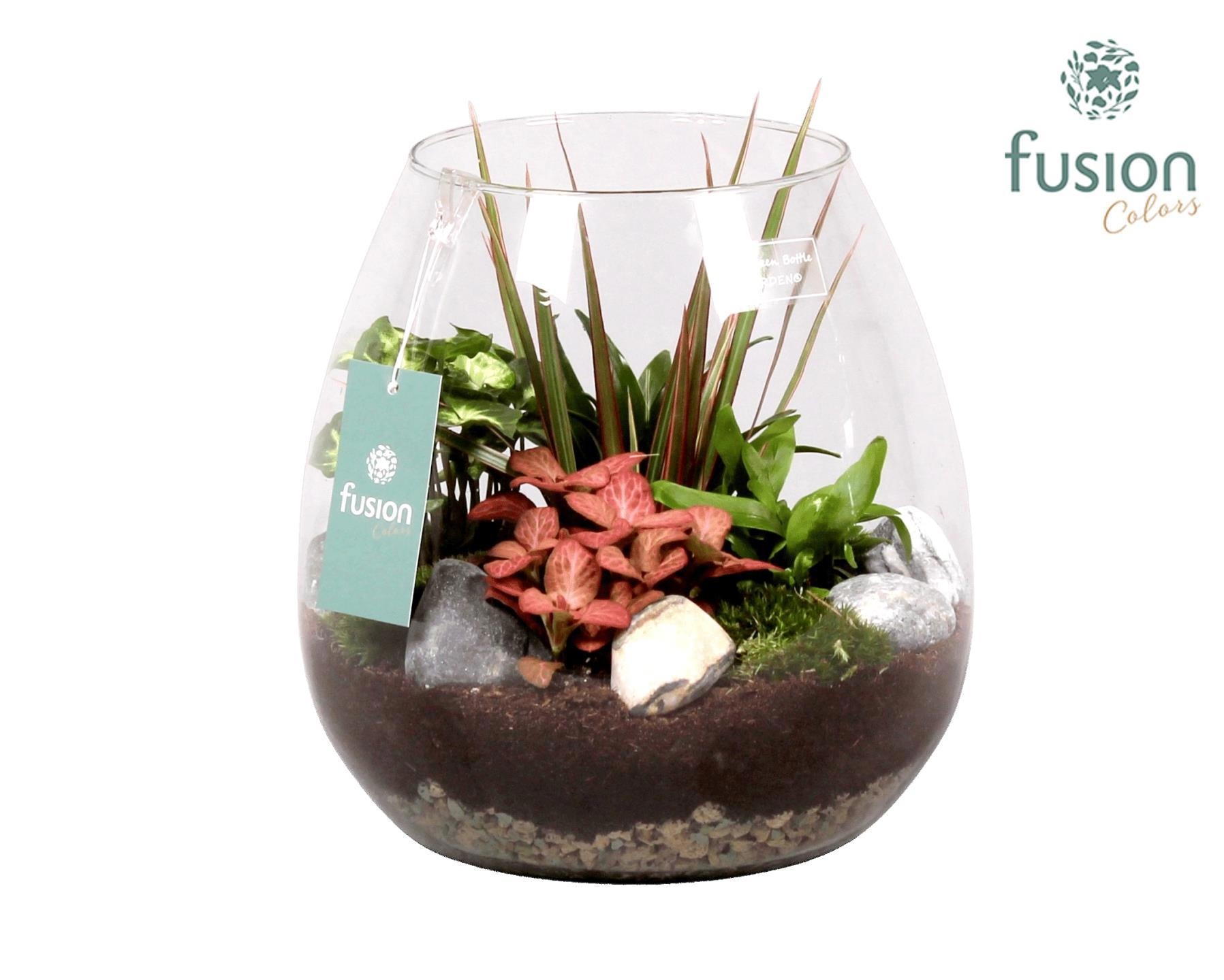 Green Bottle Abby Large met Groen Planten, D 24