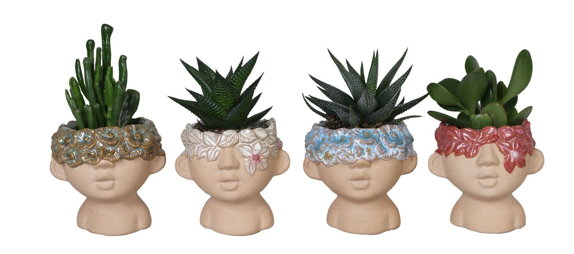 L 66550 Succulent Mix 6 cm, D 6