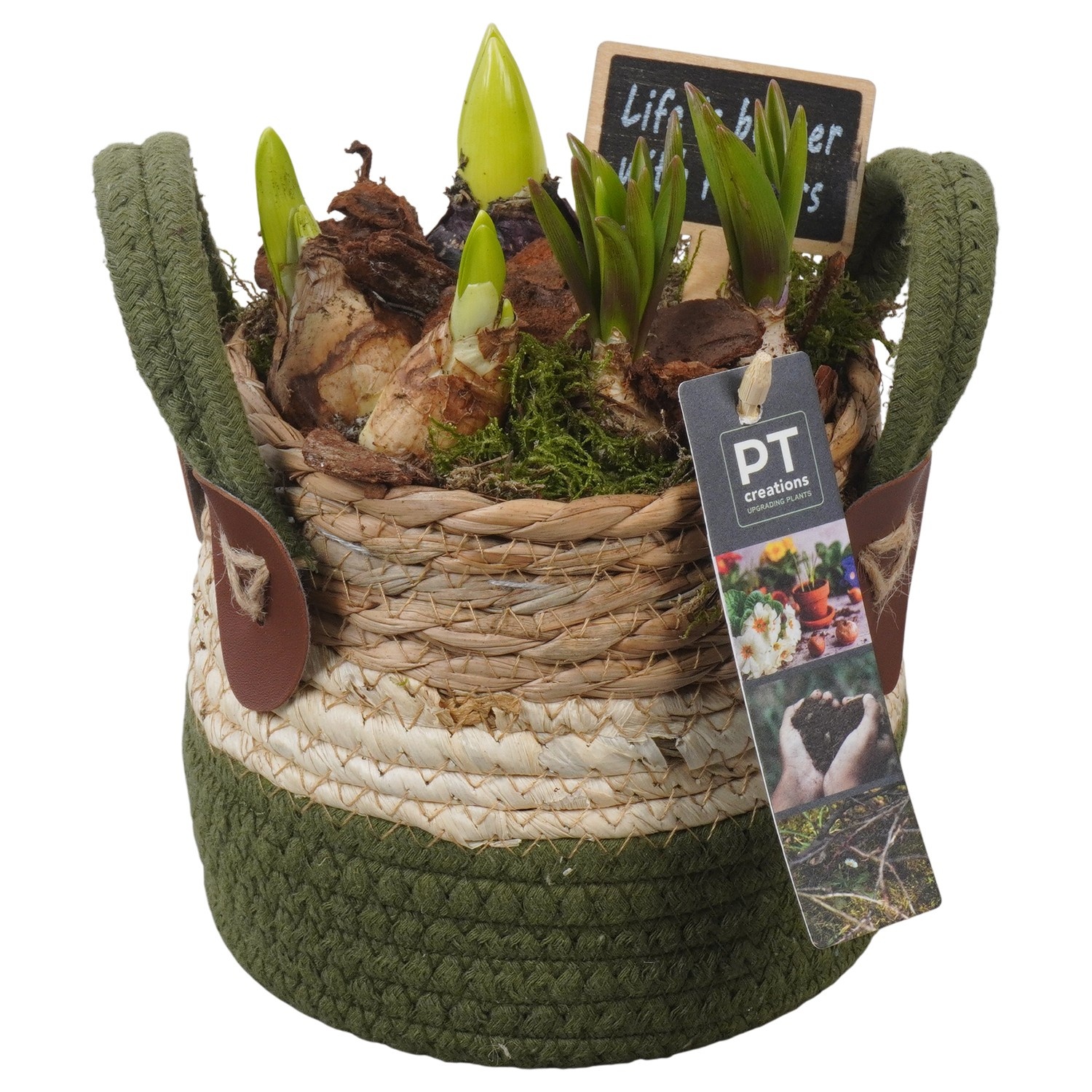 PTBM3827 Arrangement Flower Bulbs Mix in rieten mand, D 13