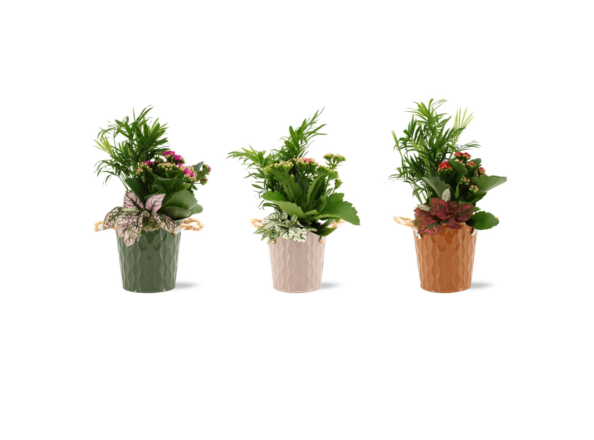 Collectie "Natural Bubble" Arrangement in Nora Zink, D 13