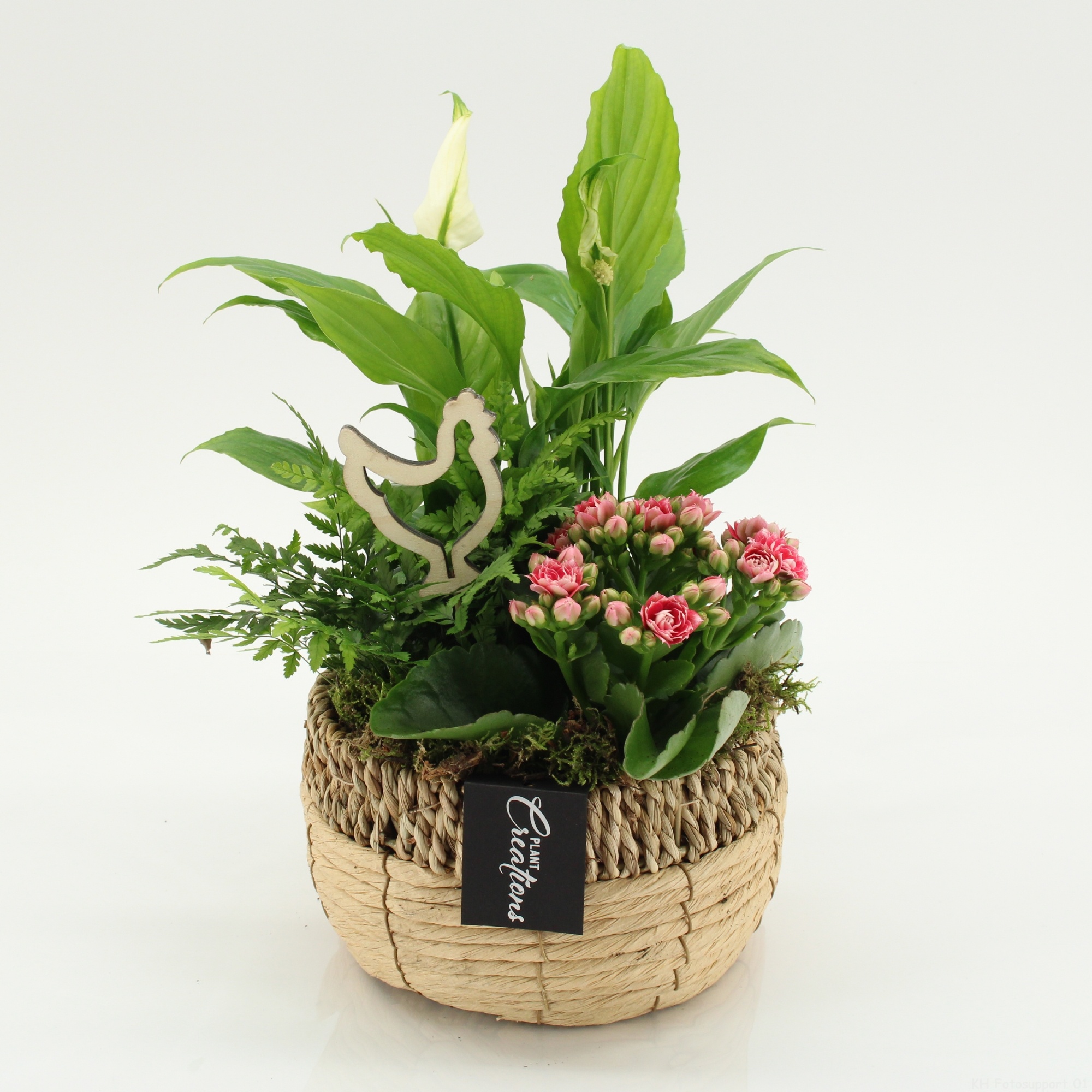 PSCR-2620RZ Easter Essentials, D 18