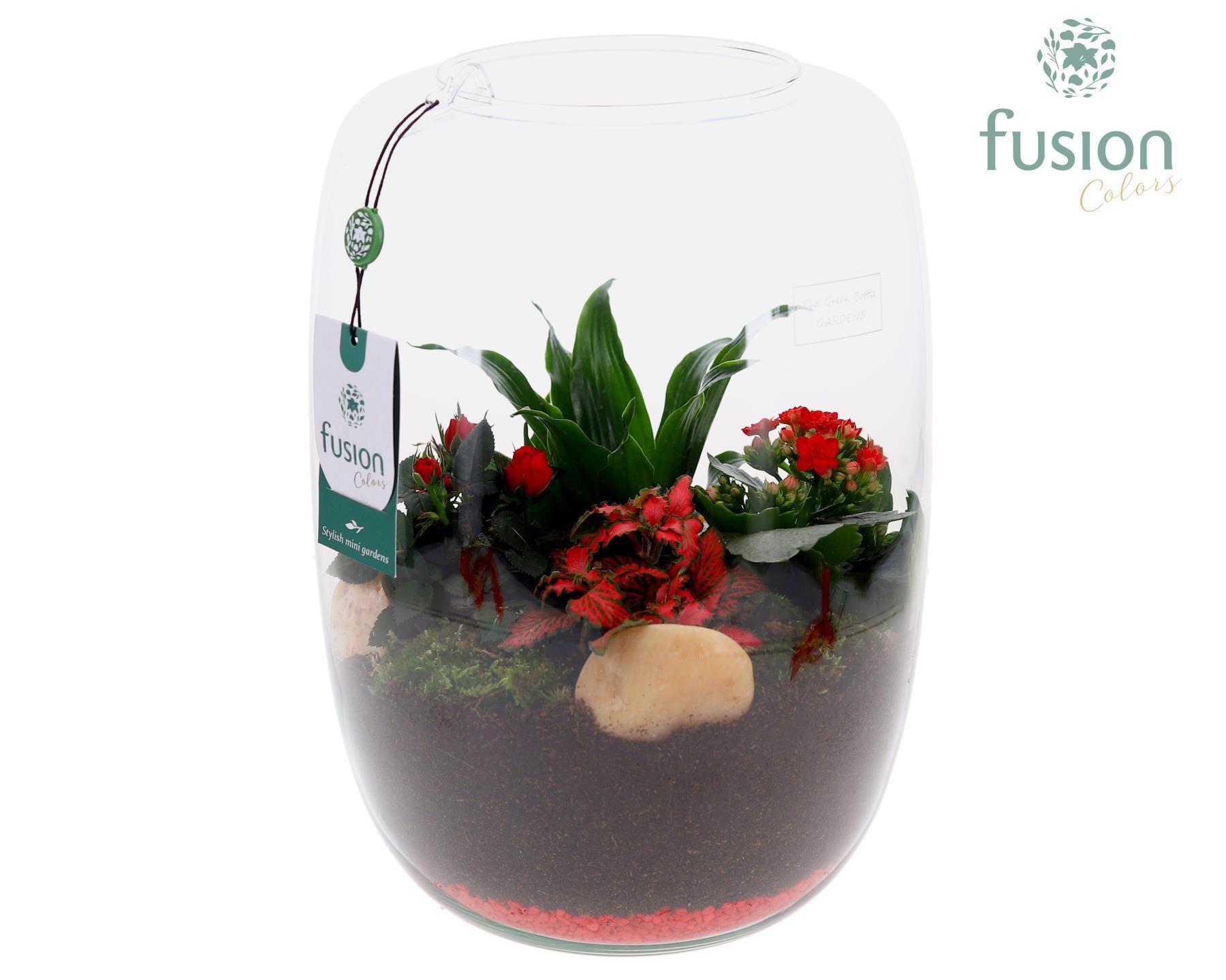 Green Bottle Love, Isabella XLarge met Arrangement D23, D 25