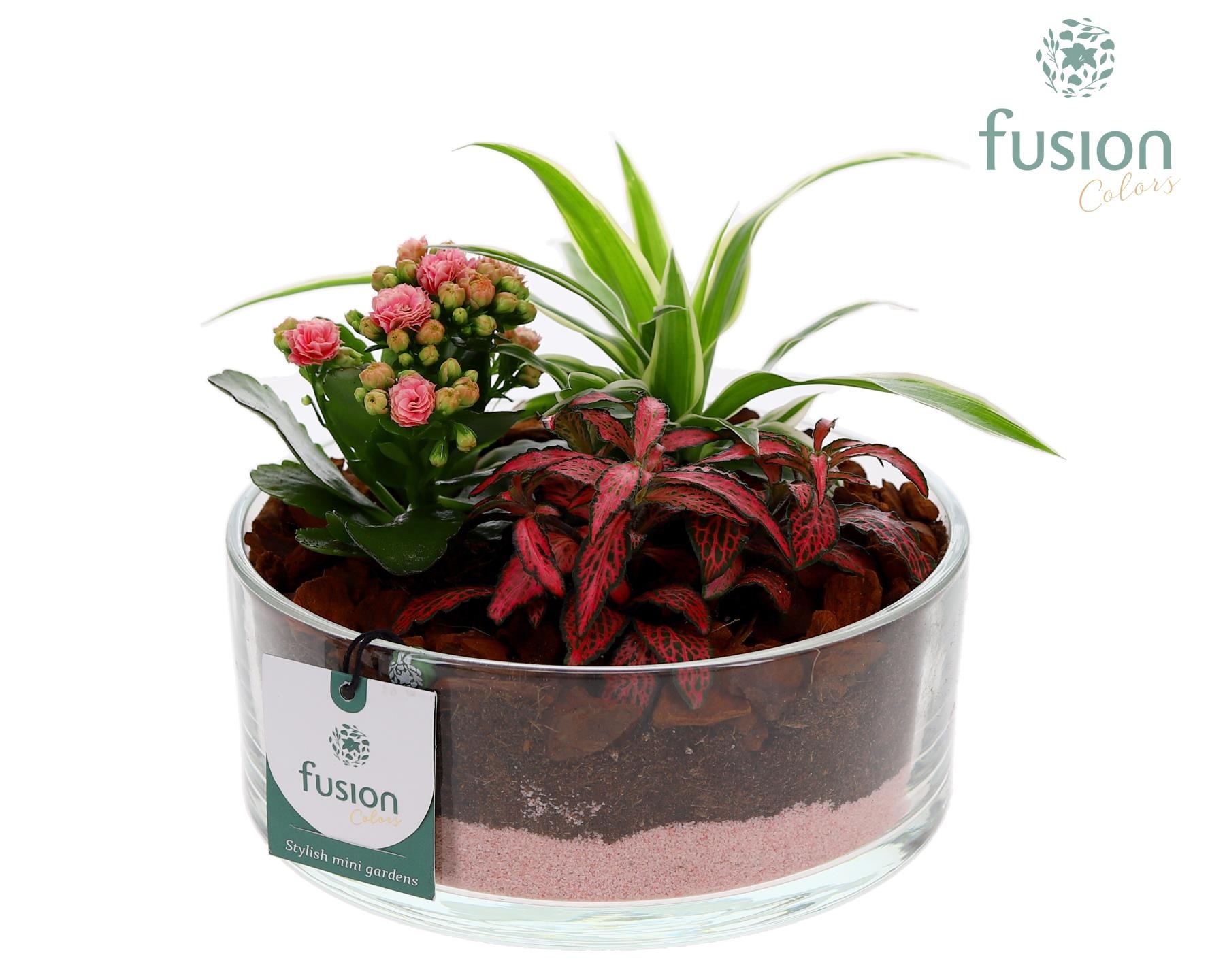 Glazen cilinderschaal met Arrangement, D 19