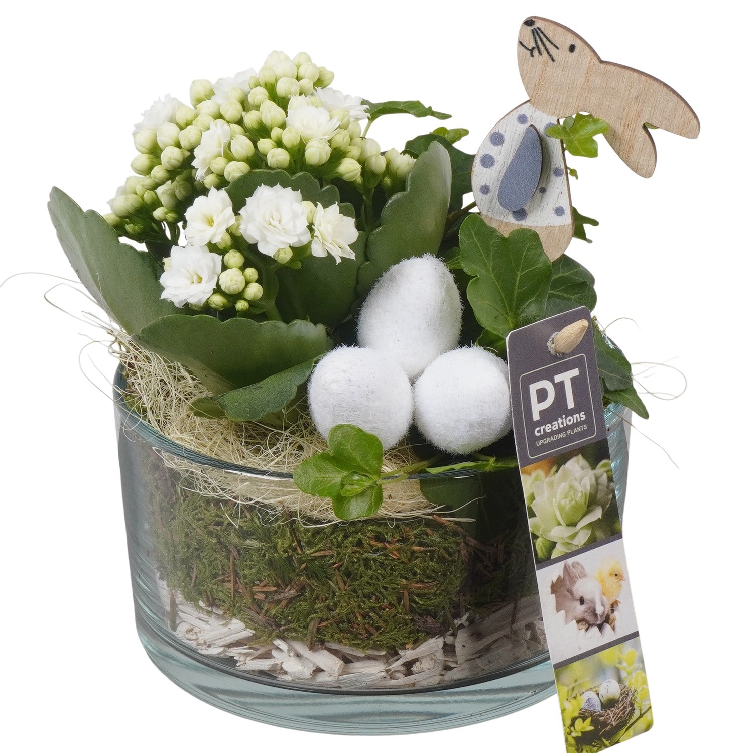 PTPG9322 Arrangement Easter in glas vaas, D 14