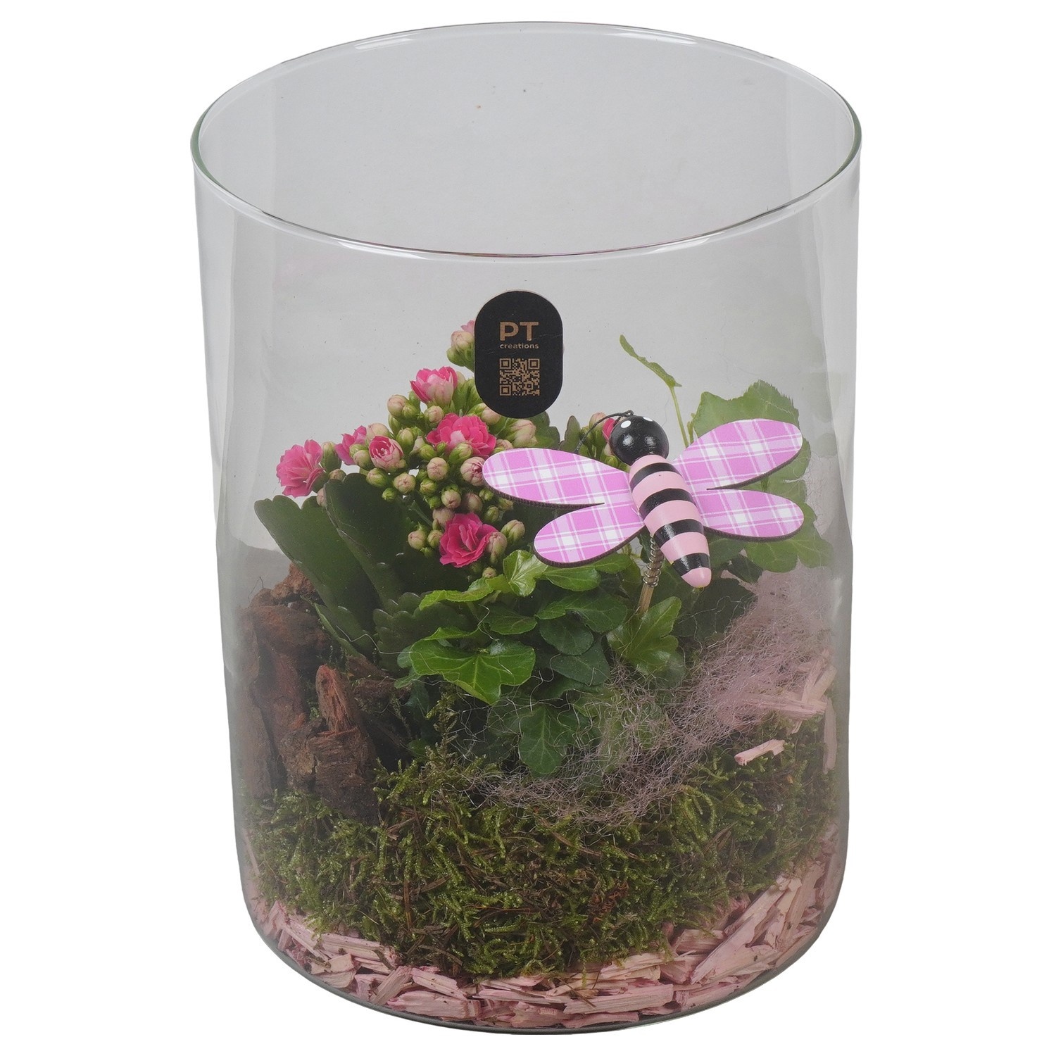PTIG2612 Arrangement Indoor in glas cylinder, D 15