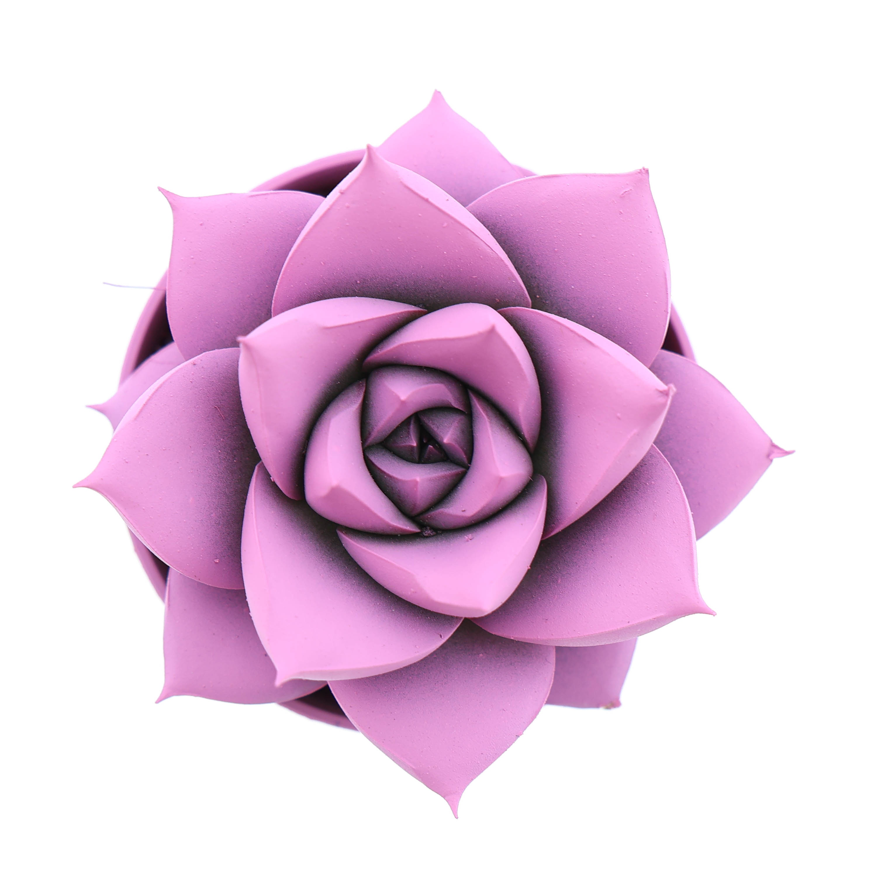 Rainbow purper pink, D 5,5