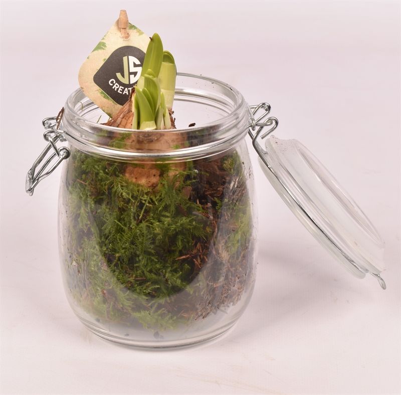 Glas weckpotje 11cm, D 11