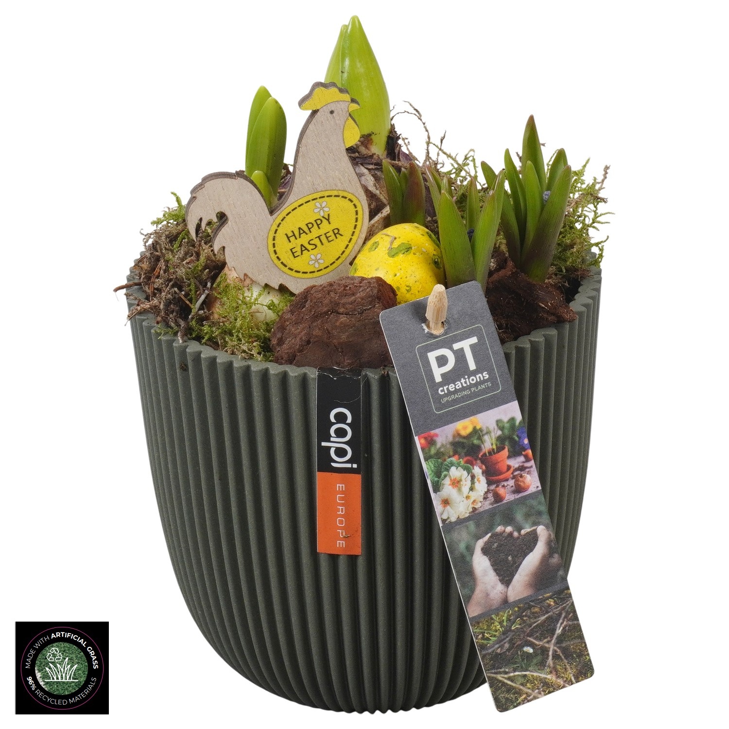 PTBMP5733 Arrangement Easter Bulbs Mix in capi pot, D 13