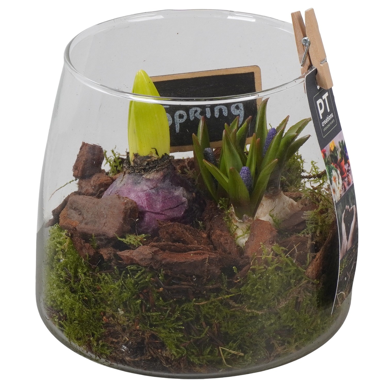 PTBM3939 Arrangement Flower Bulbs Mix in glazen vaas, D 14