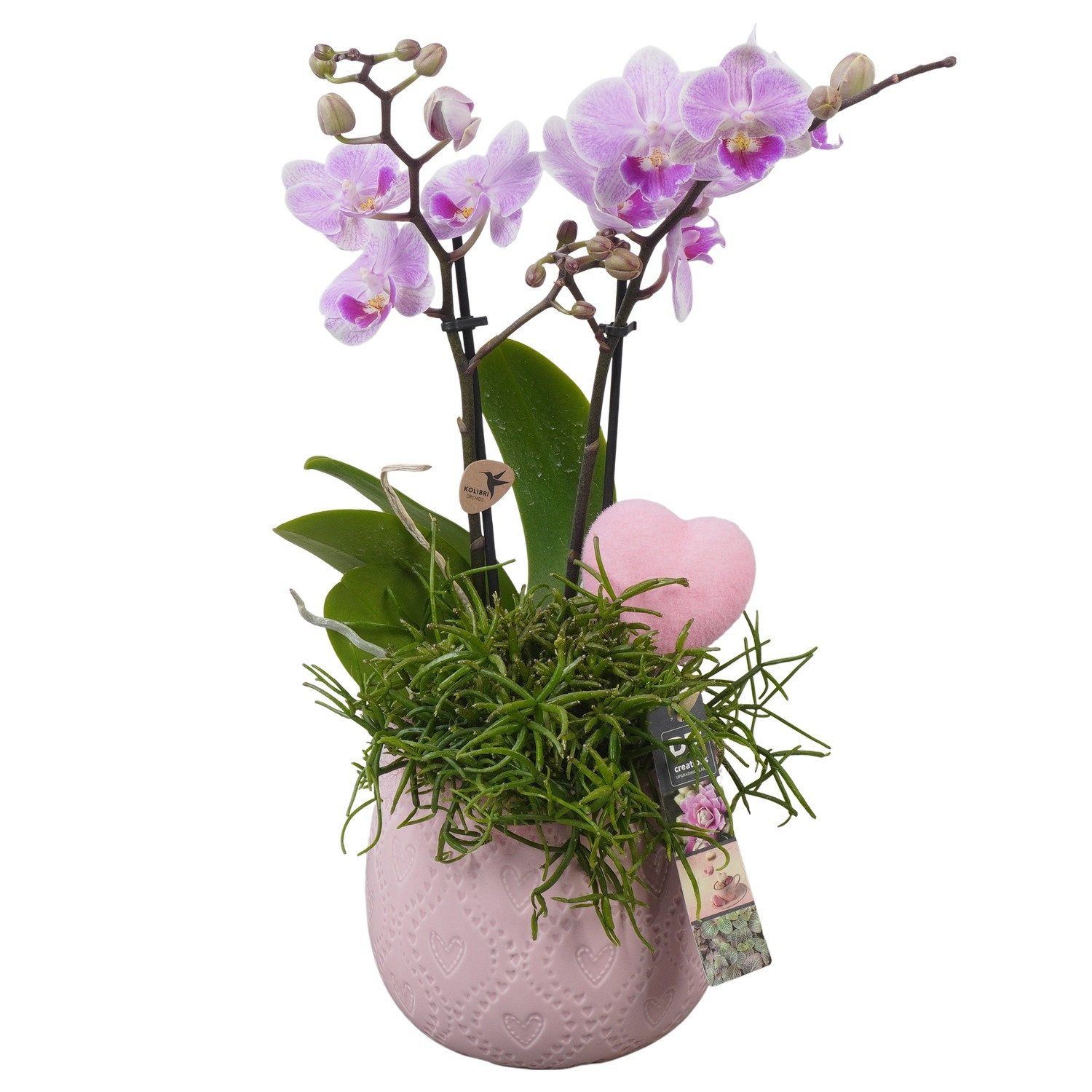 PTVMB2298 Arrangement Valentines-Mothersday in keramiek sierpot, D 14