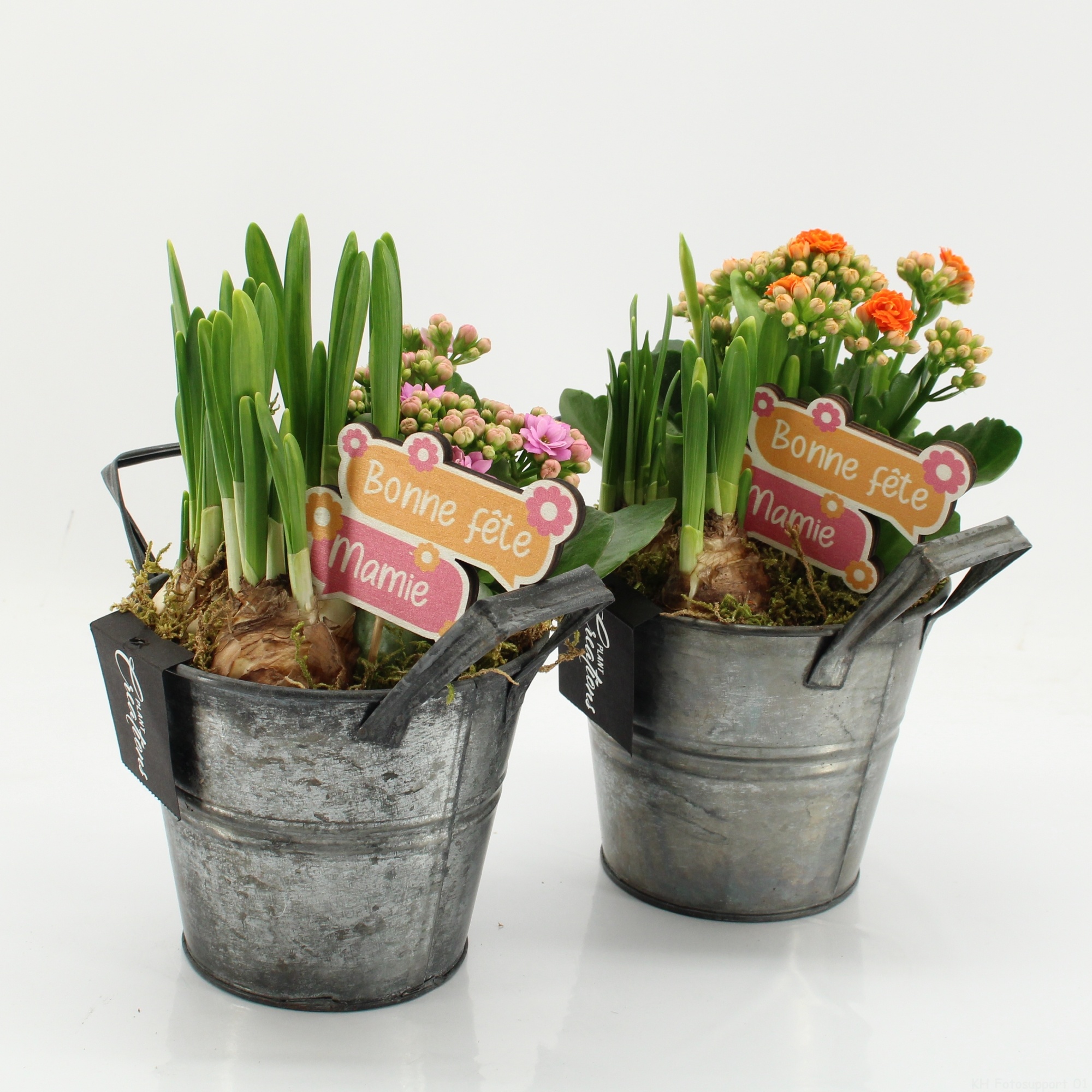 FGCR-2612 Fête des grands-mères, D 14