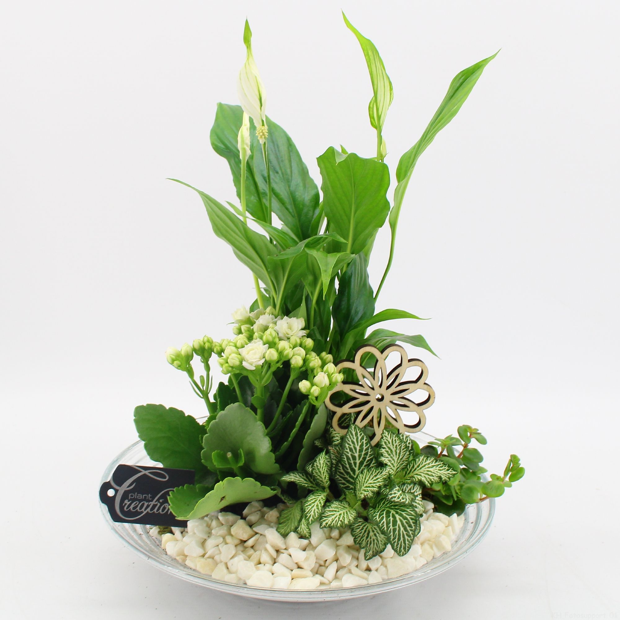 FDCR-2600W Basic fundamentals, D 30