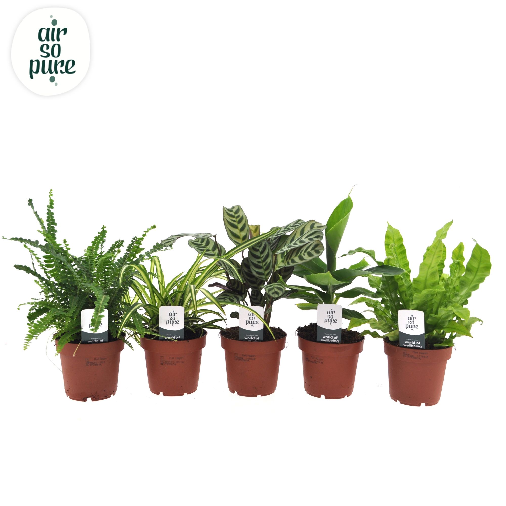 Air so pure mix VDE, D 12