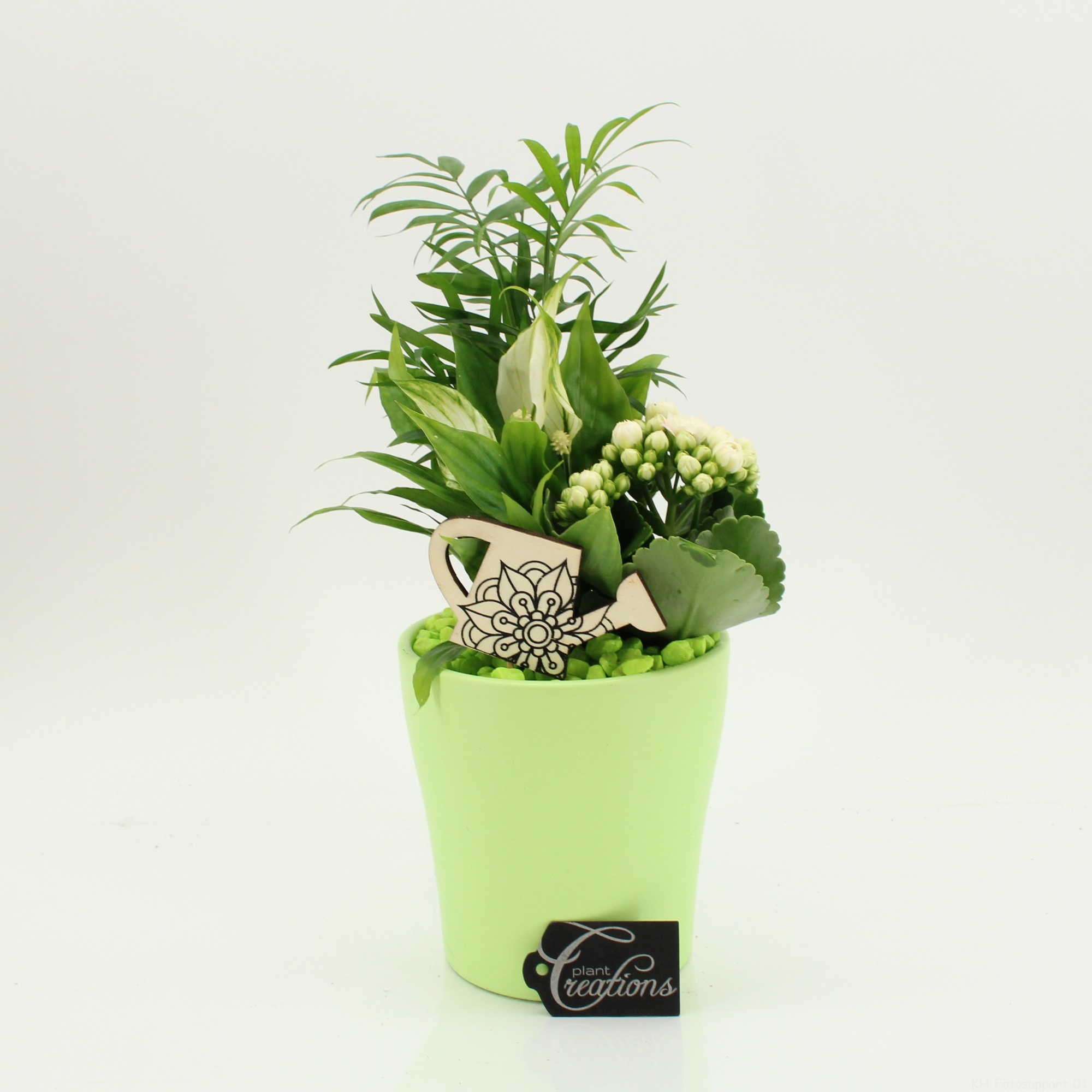 FDCR-2608GR Basic Fundamentals, D 14