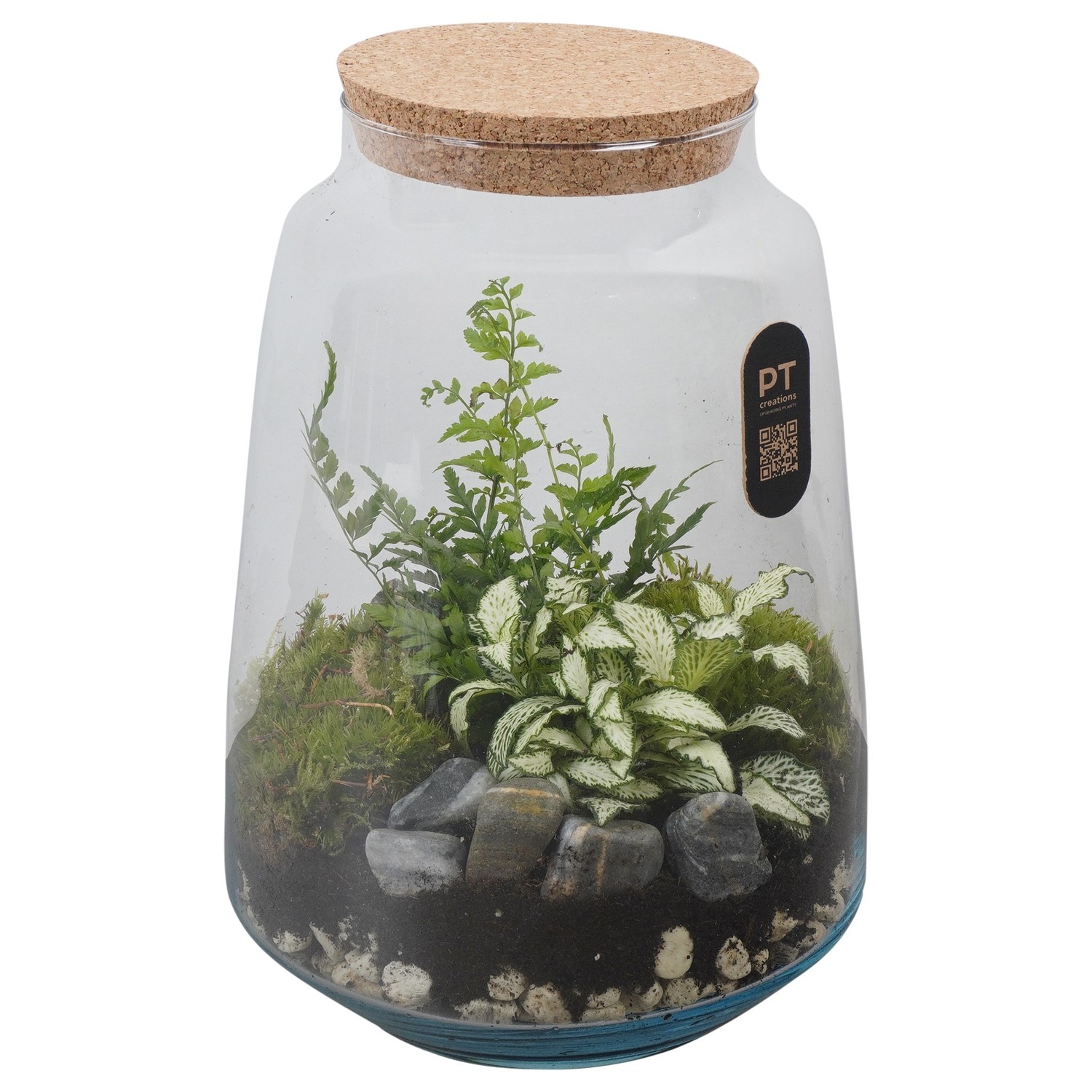 PTTER8134 Arrangement terrarium in glazen terrarium, D 17