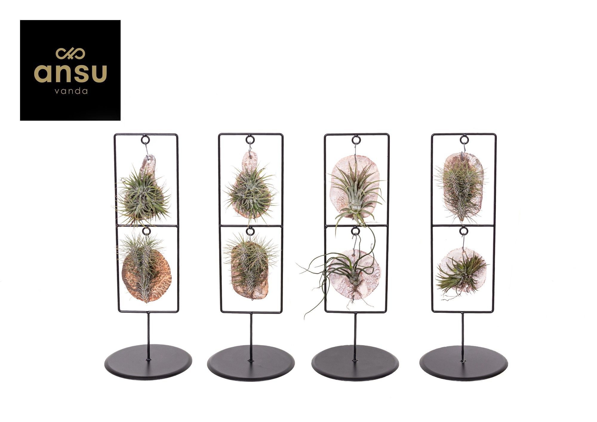 Tilly Tiles in Design Frame Double, D 11,5