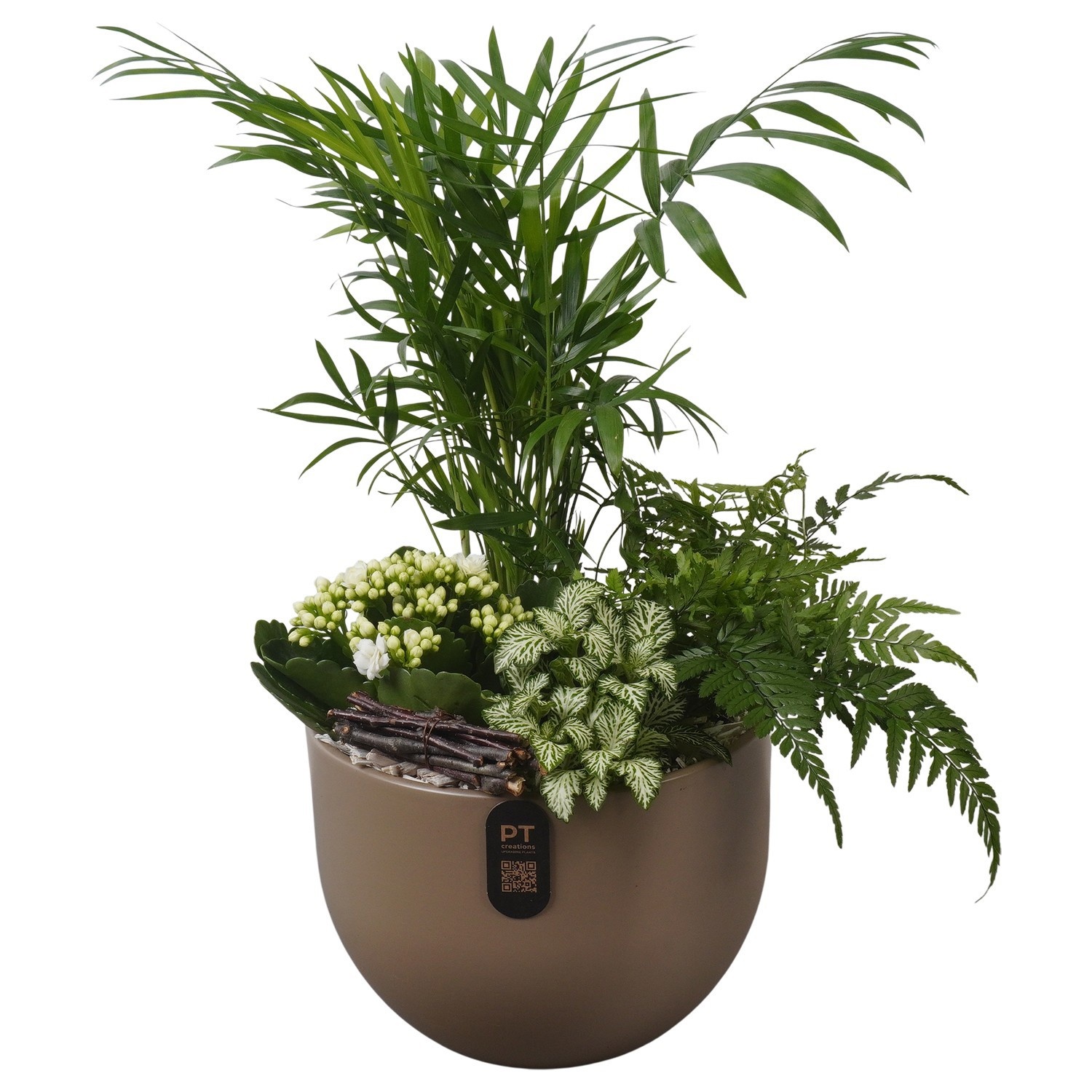 PTIB5164 Arrangement Indoor in keramiek pot, D 19