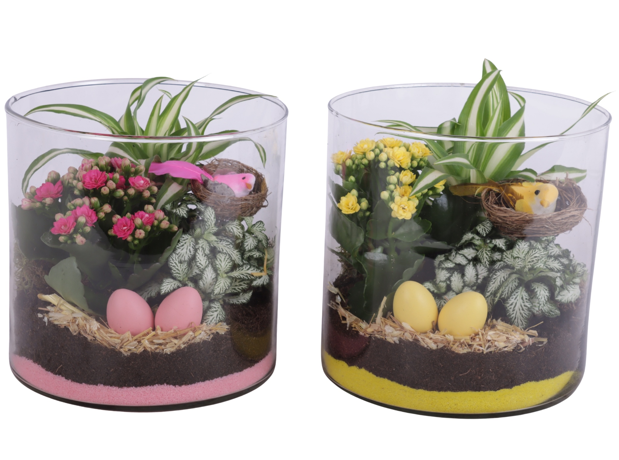 Easter Arr. Indoor Glass Vase Cylinder Ø19cm 3PP, D 19