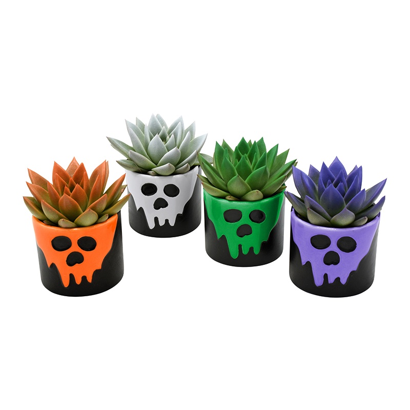 Miranda coloured festival in Halloween Scream ceramics, D 7