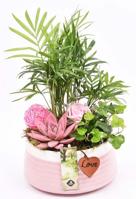 Keramiek schaal roze met label 16cm, D 16