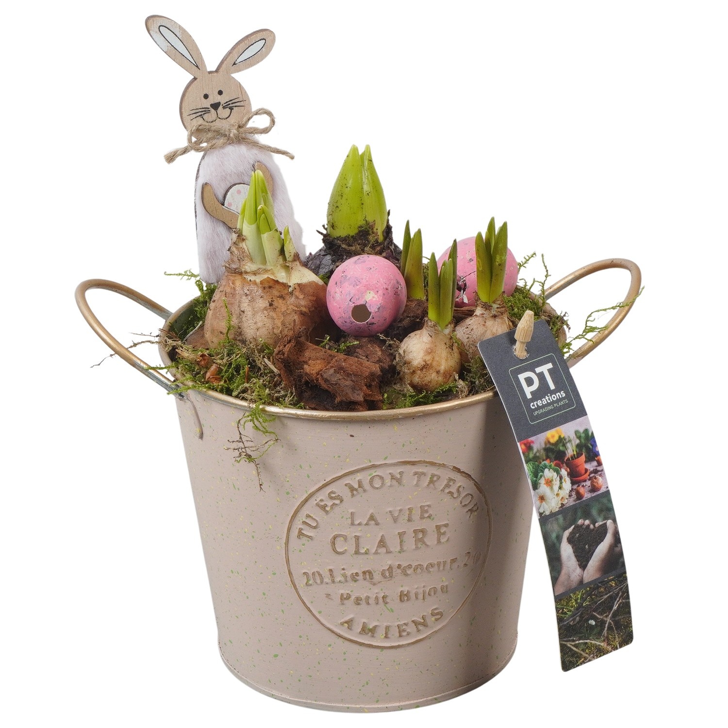 PTBMP5643 Arrangement Easter Bulbs Mix in zink pot, D 13