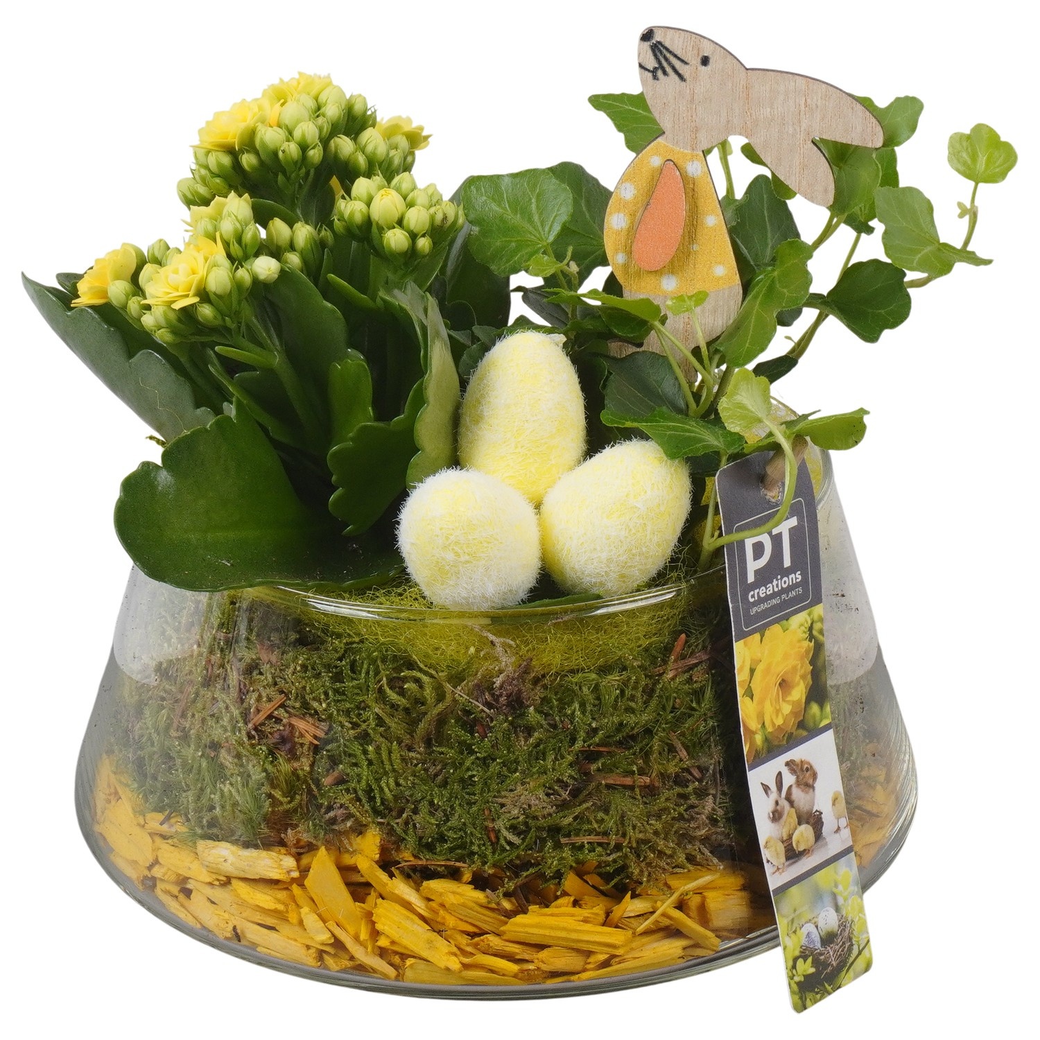 PTPG9358 Arrangement Easter in glas vaas, D 18