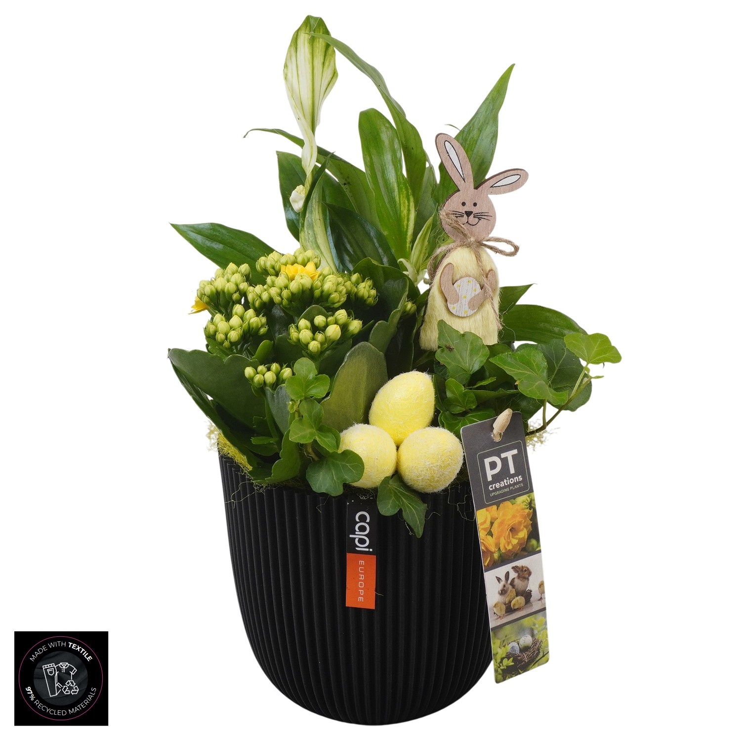 PTPB6586 Arrangement Easter in capi pot, D 13