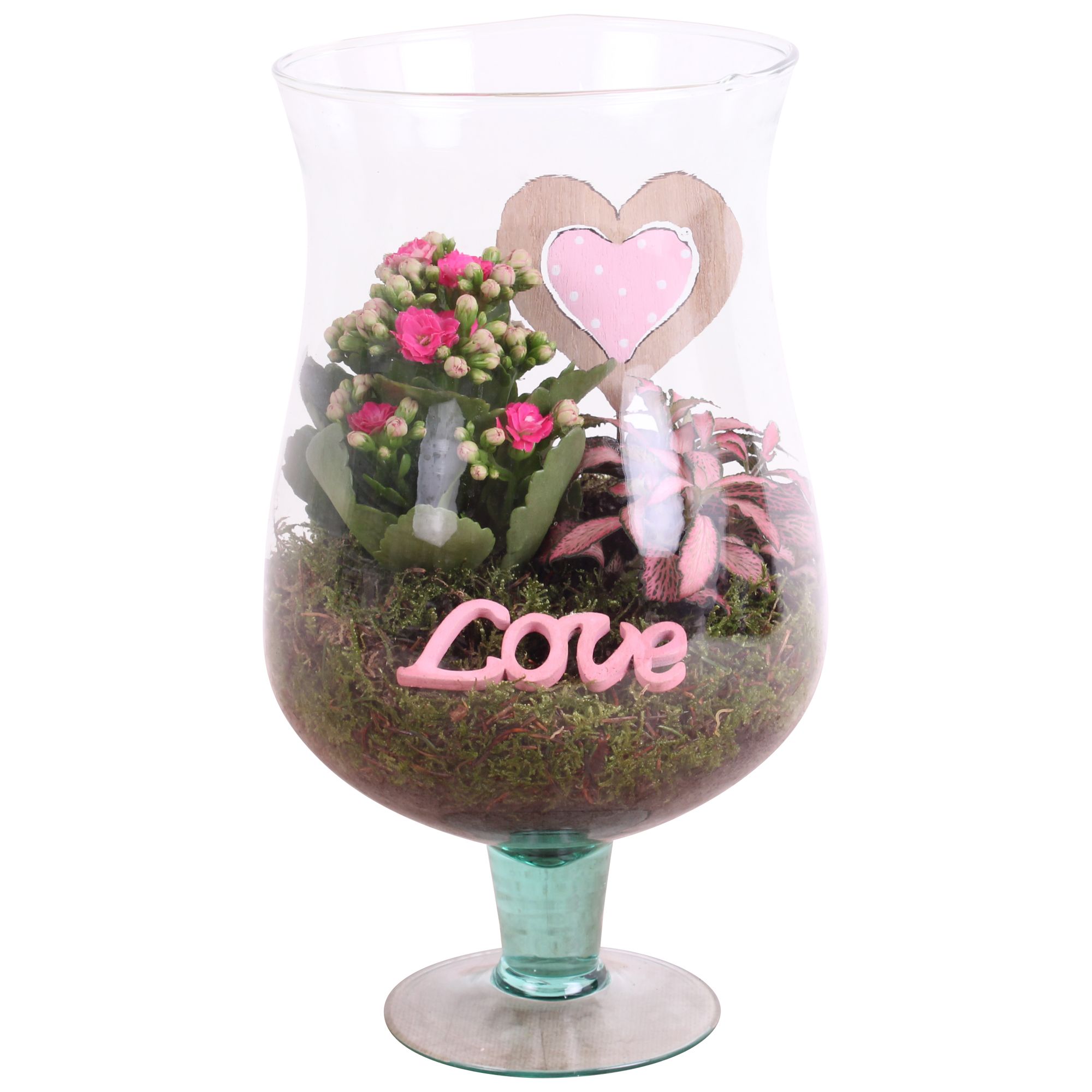 Mothersday Arr. Indoor Glass Cognac Ø17cm 2PP, D 17