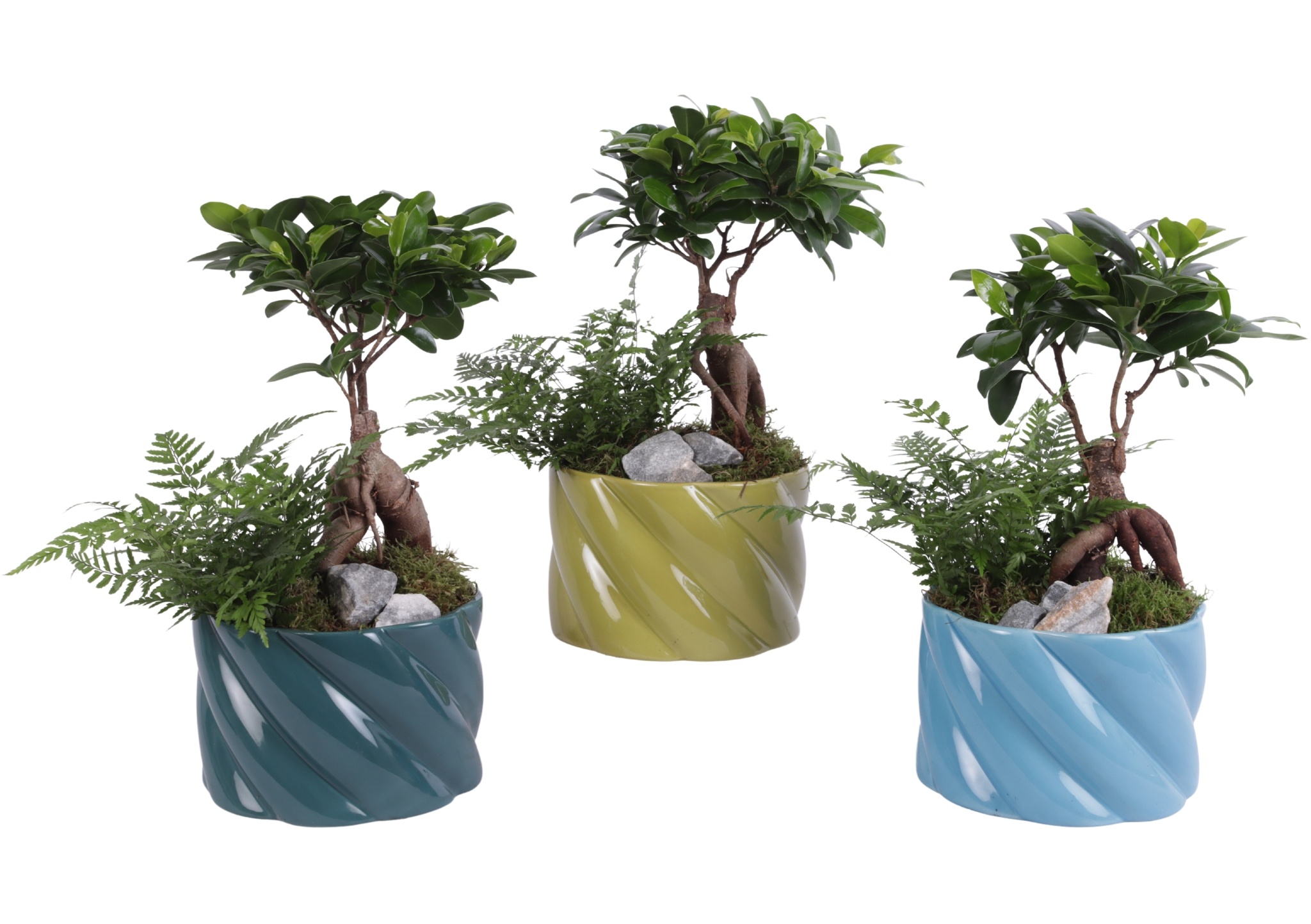 Yearround Arr. Indoor Ceramic Fresh Breeze FB674 Ø17cm 2PP, D 17