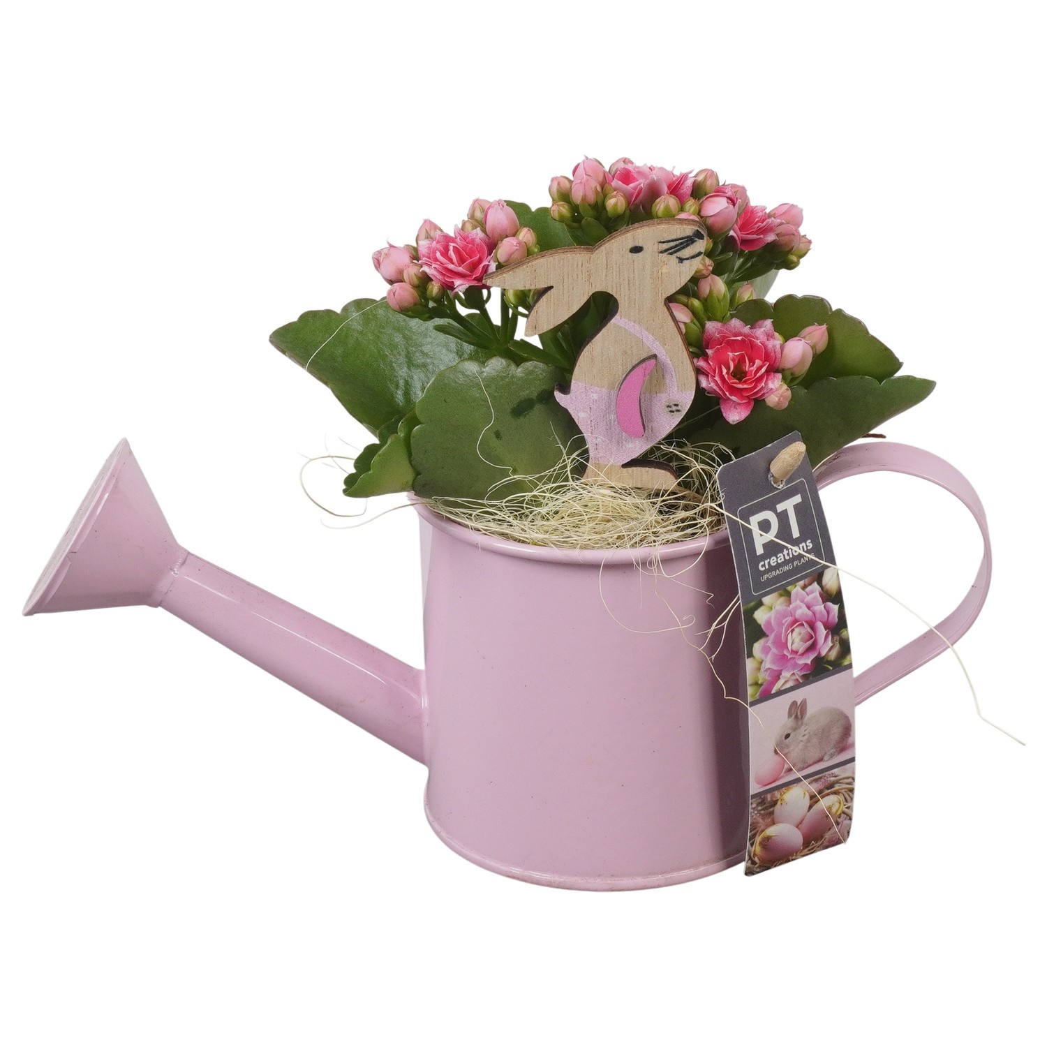 PTPB6431 Arrangement Easter in zink gieter, D 9