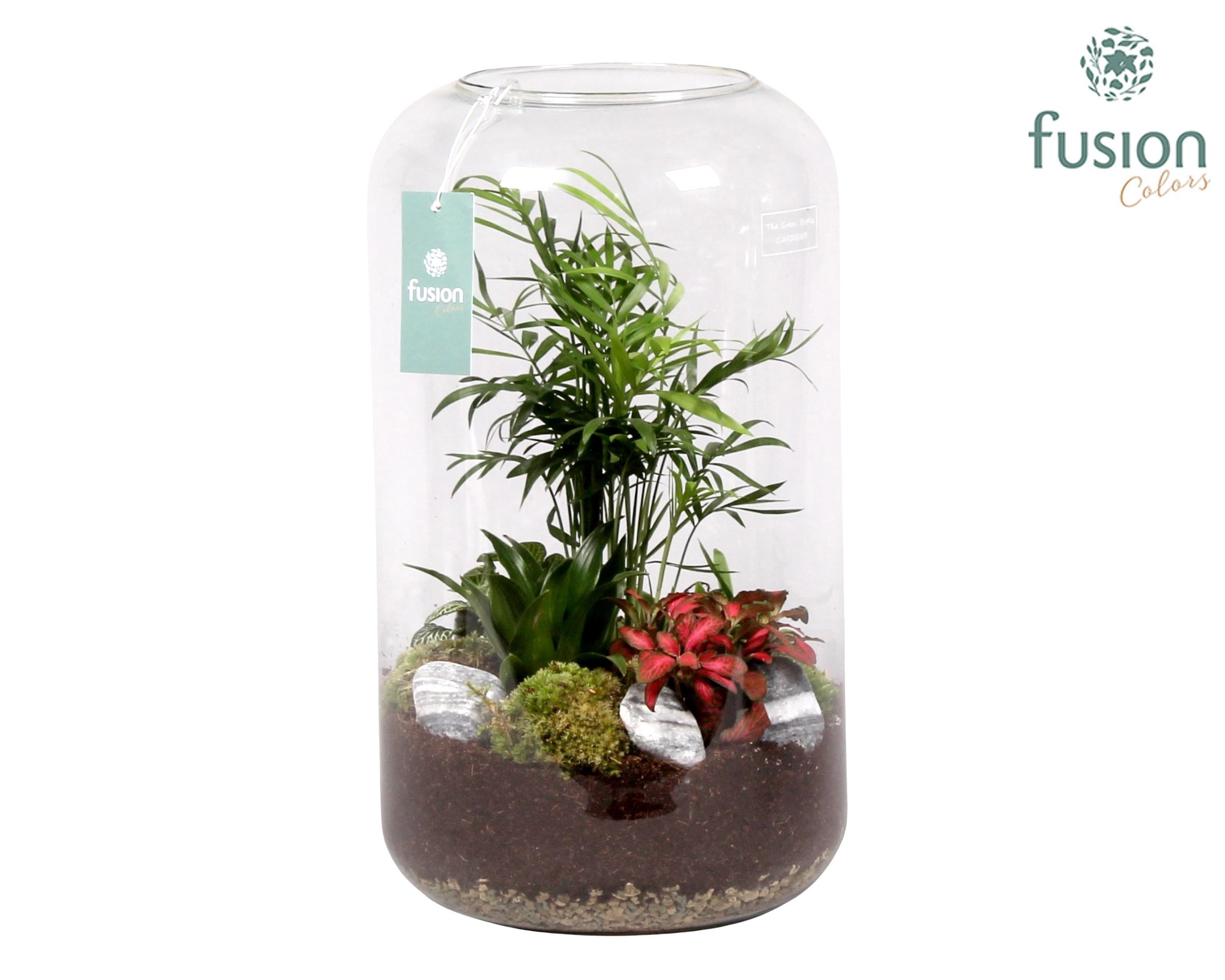 Green Bottle Isabella XXLarge met Groene Planten Arrangement, D 23