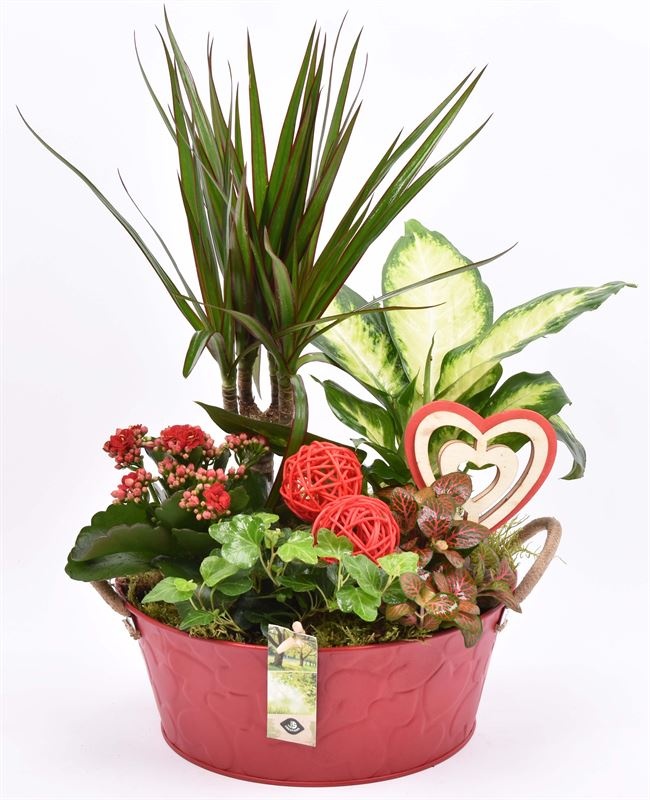 Zink schaal rood hart decor 25cm, D 25