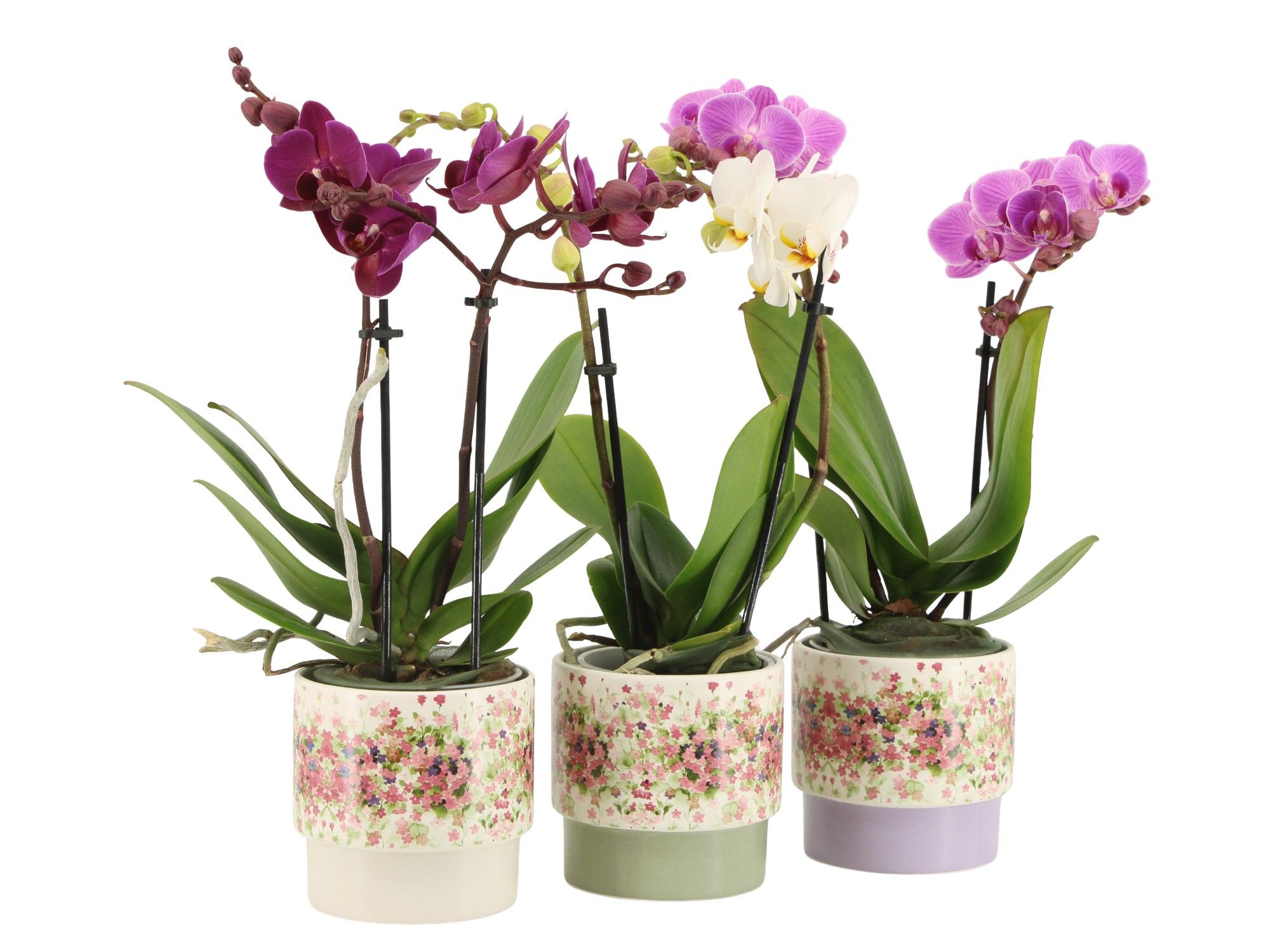 7501378: Solutionss Consideration, D 9