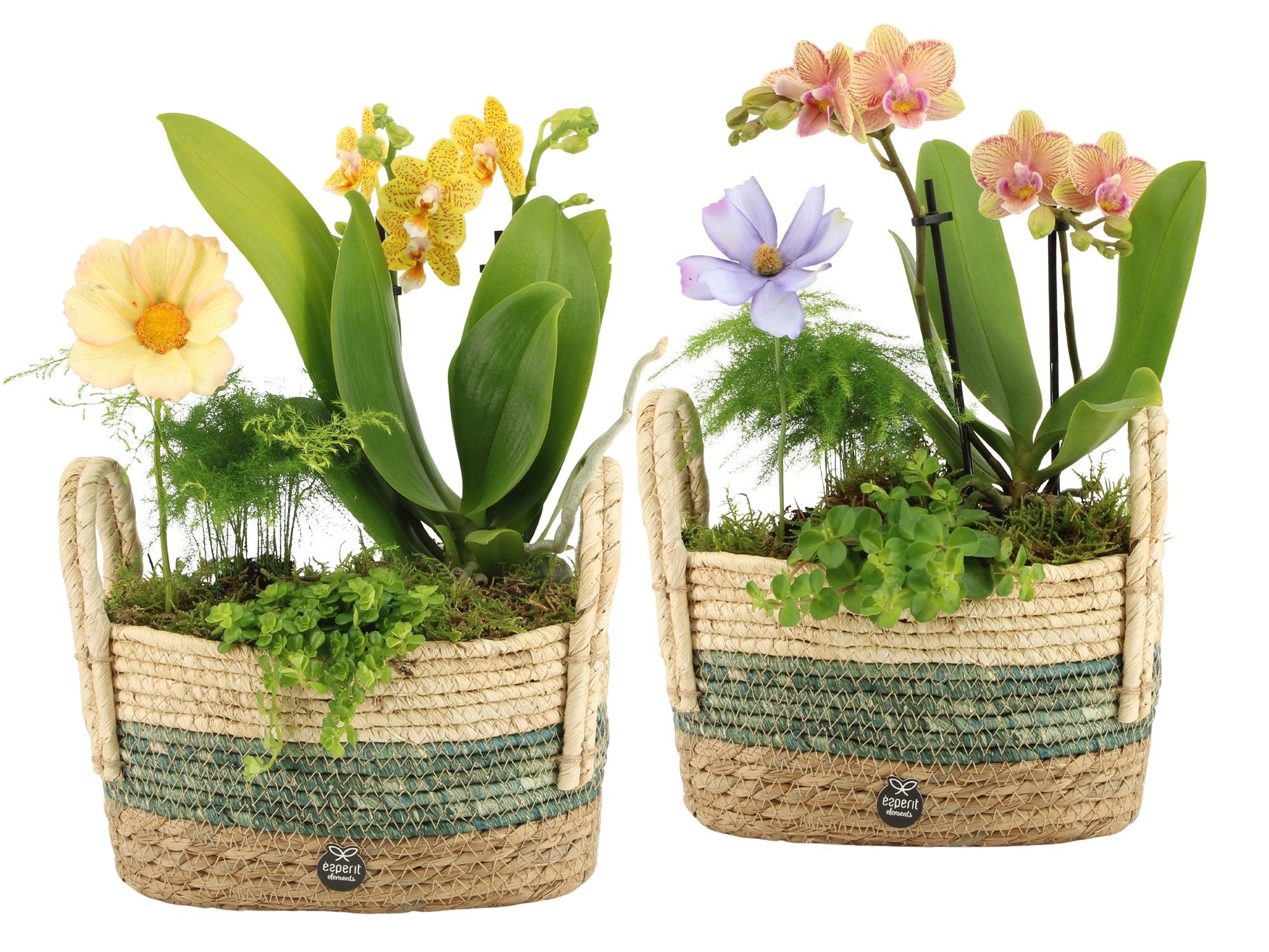 11600: Consideration arrangement, D 23