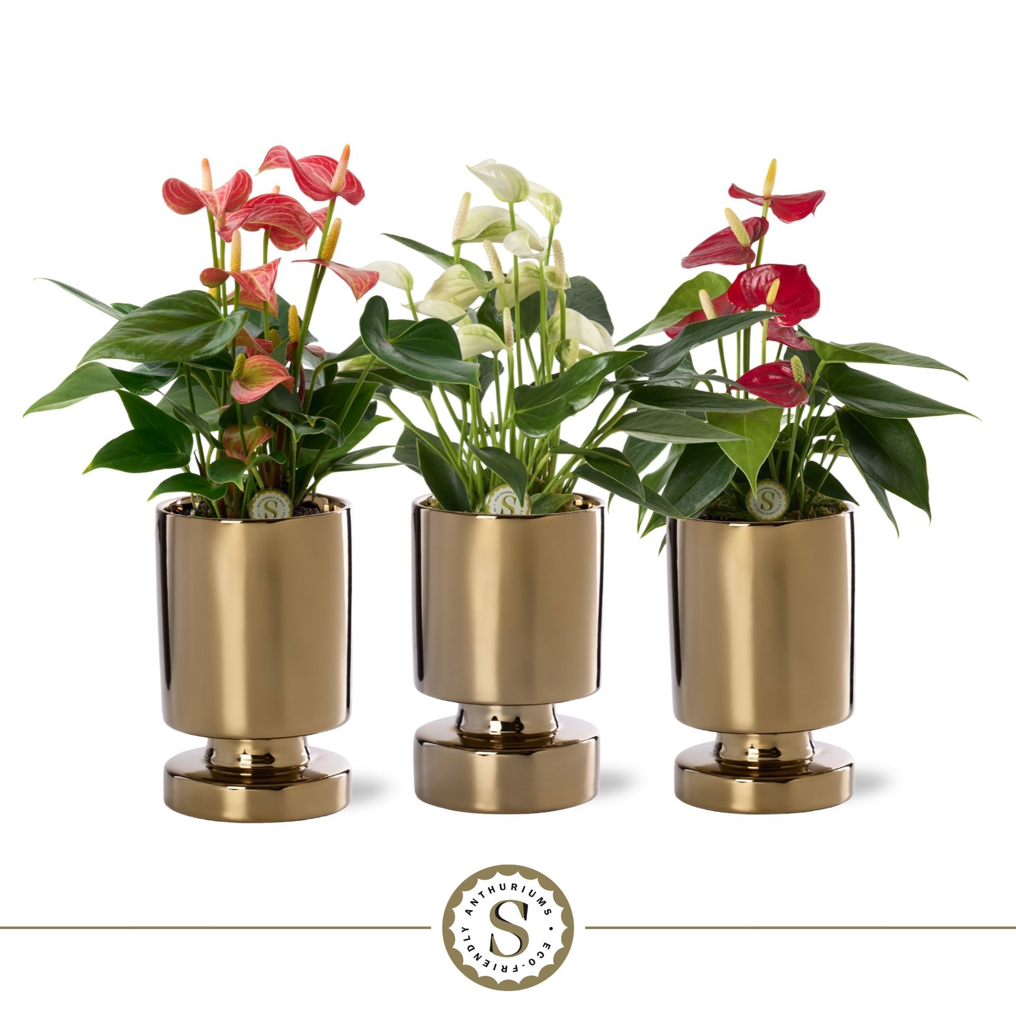 Stockholm Gold Keramiek 9cm Mix, D 9