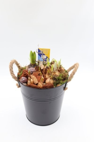 Bollen, zinken emmer zwart met touworen, D 18