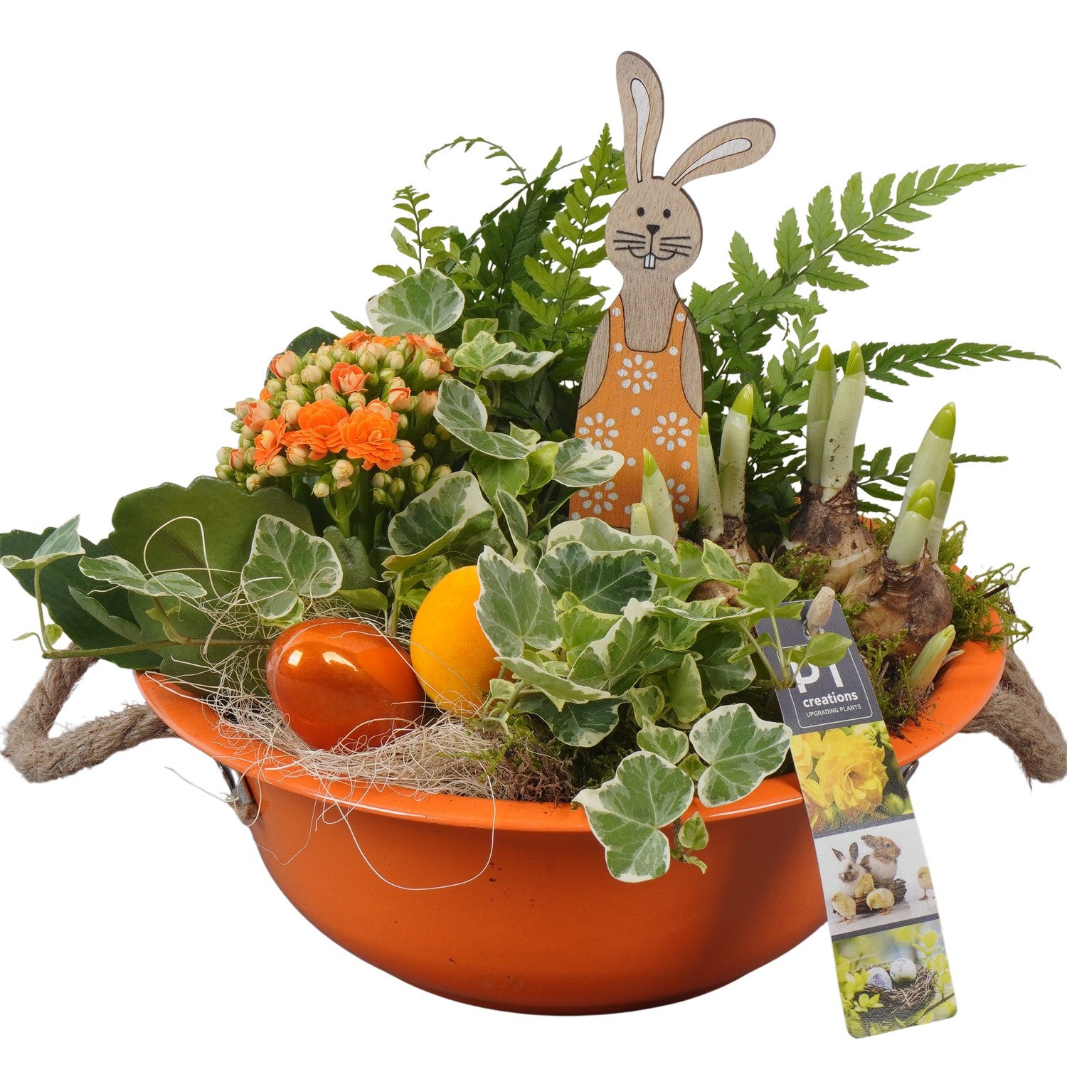 PTPB6406 Arrangement Easter in zink schaal, D 24