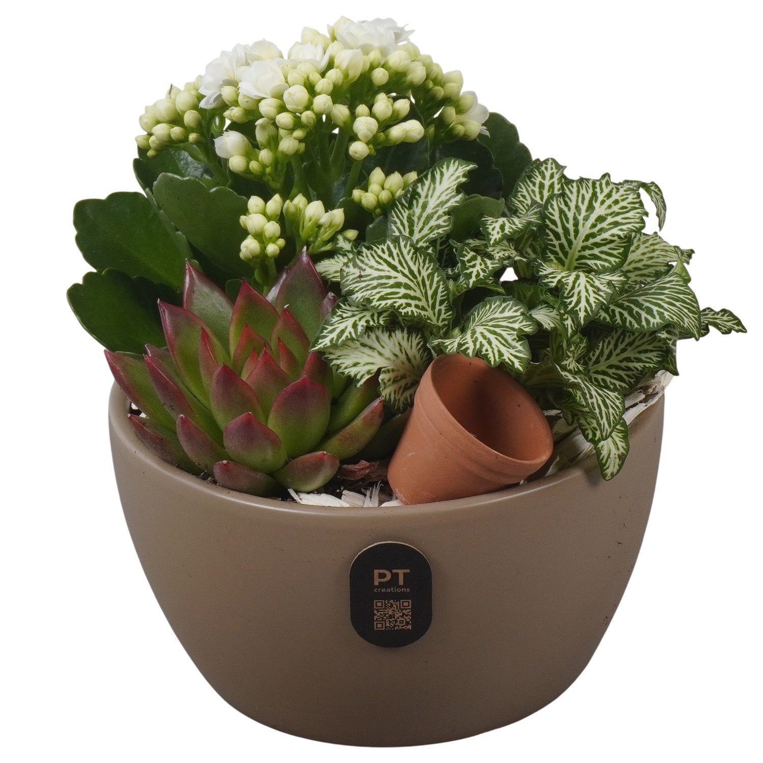 PTIB5158 Arrangement Indoor in keramiek schaal, D 14