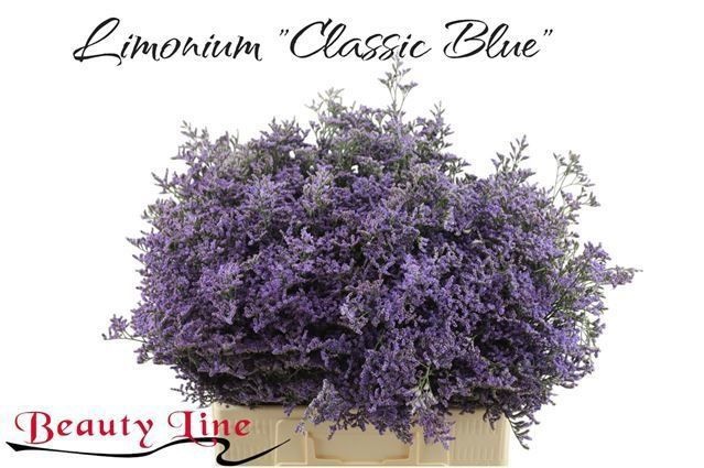 Лимониум Сафора Классик Блю 60, шт.