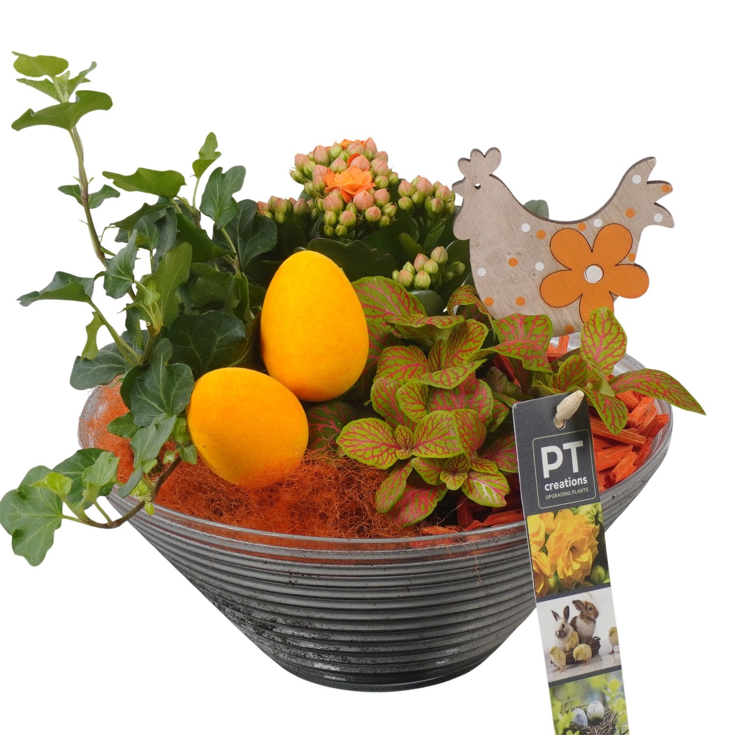 PTPG9350 Arrangement Easter in glasschaal, D 19