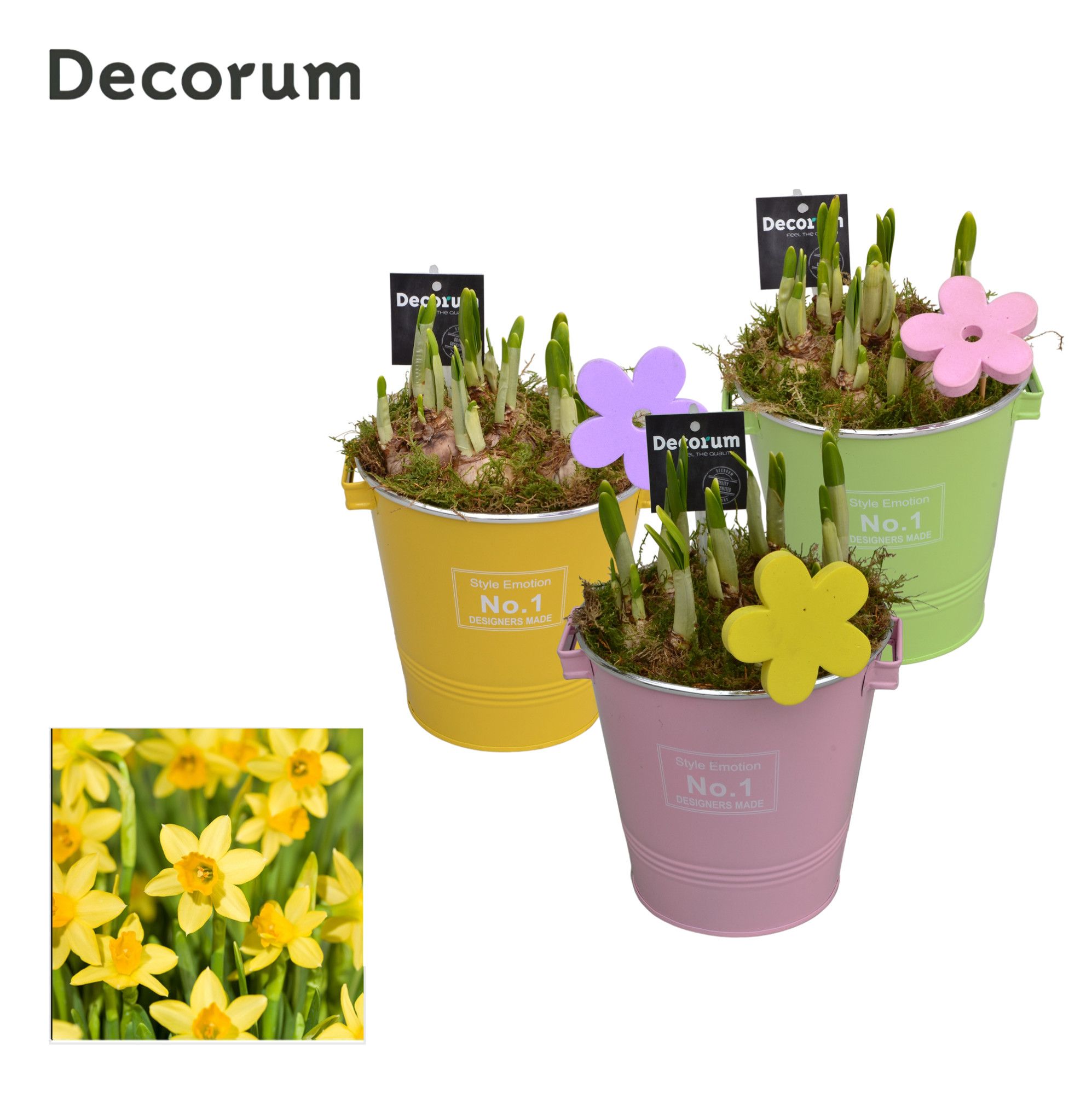 Narcis Colourful Bucket Maxi GM HL17597, D 18