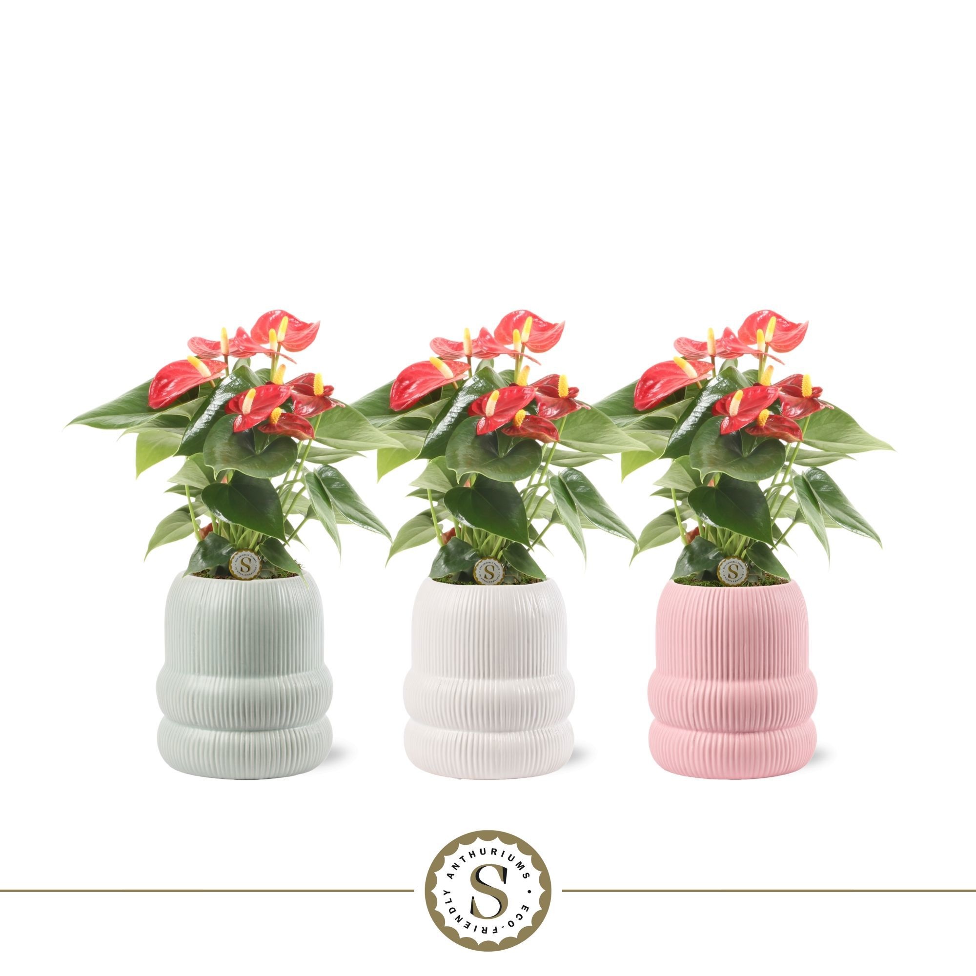 Helsinki Keramiek Red, D 9