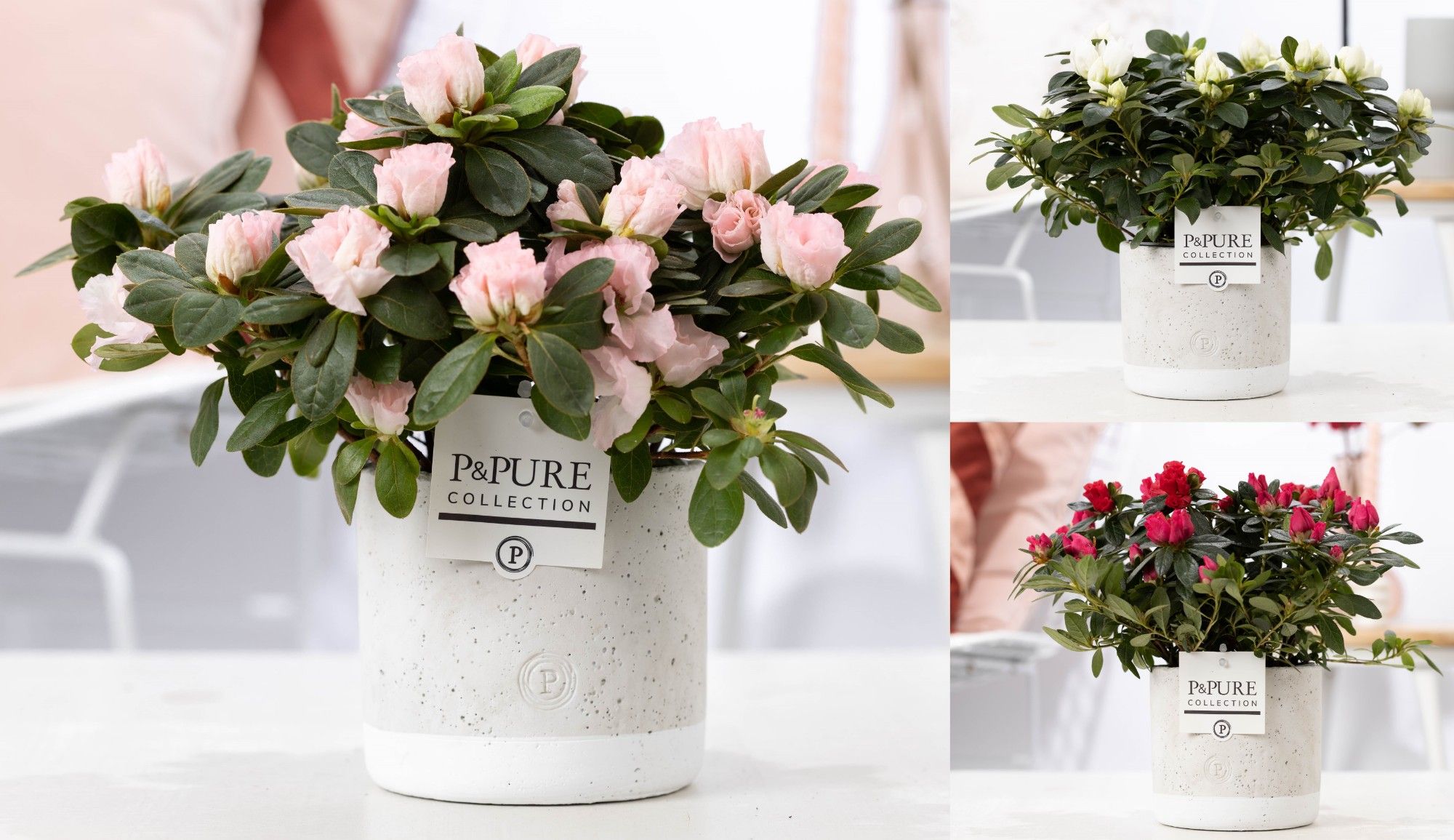 Azalea P&PURE Collection Jade keramiek, D 12