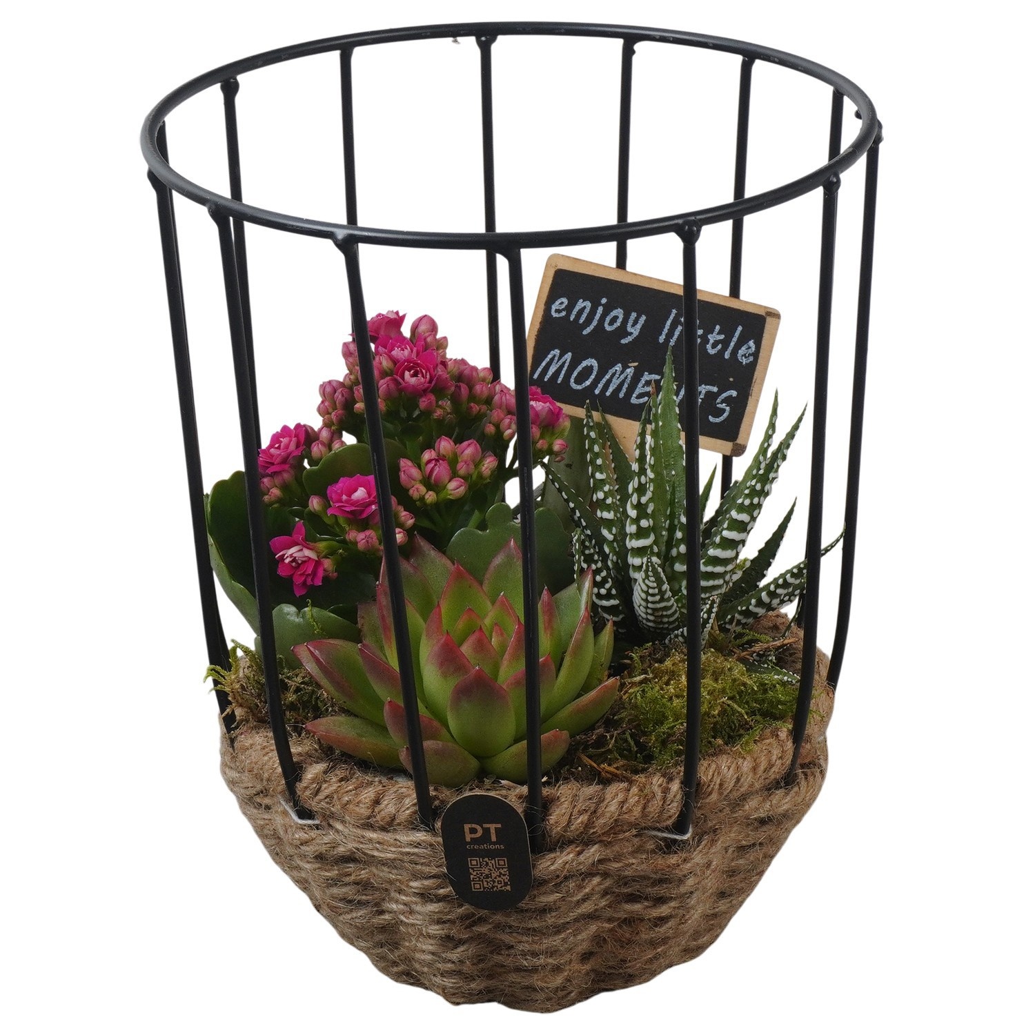 PTIB5277 Arrangement Indoor in touwmand met metaal, D 16